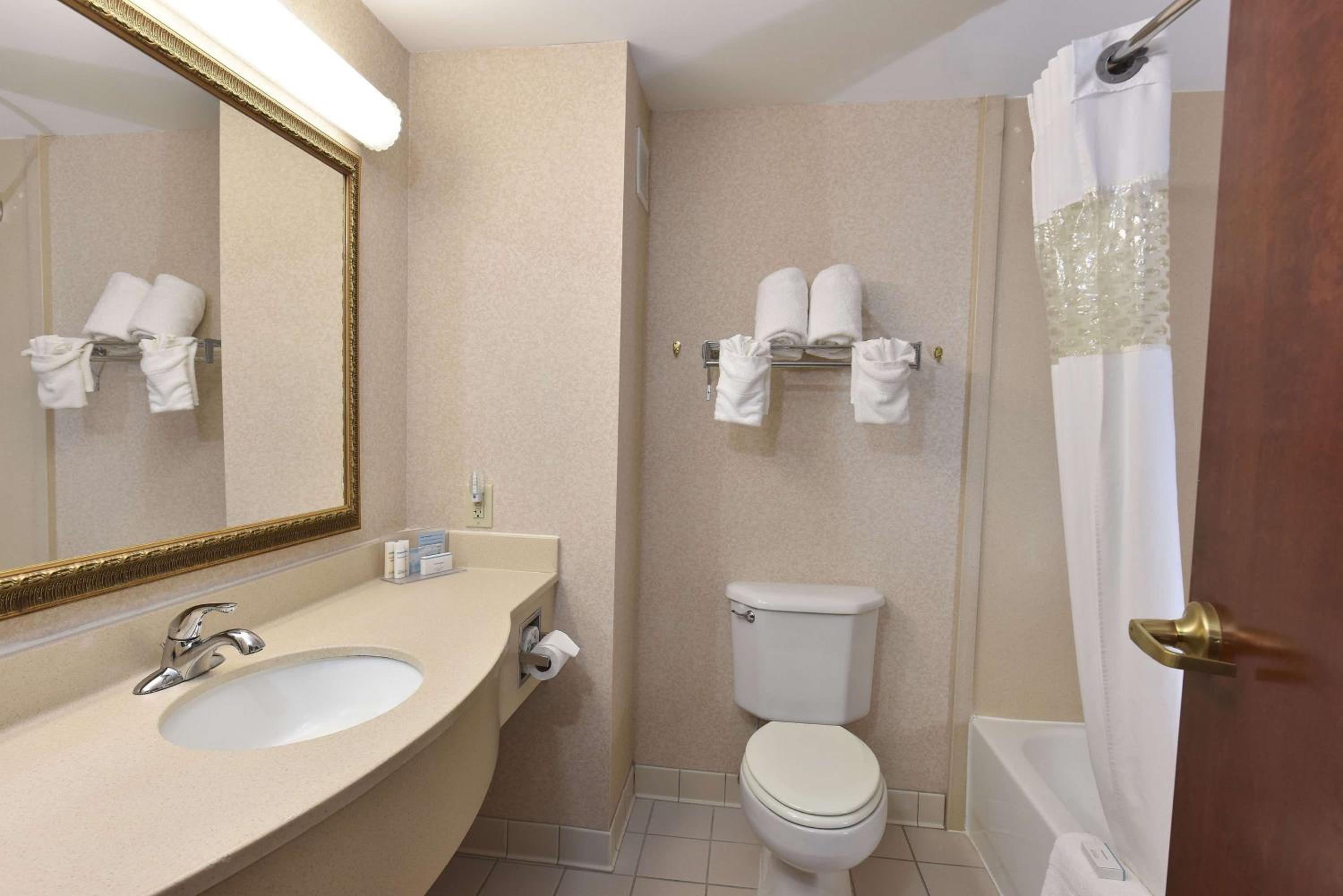 King Suite - Non-Smoking - Photo 5