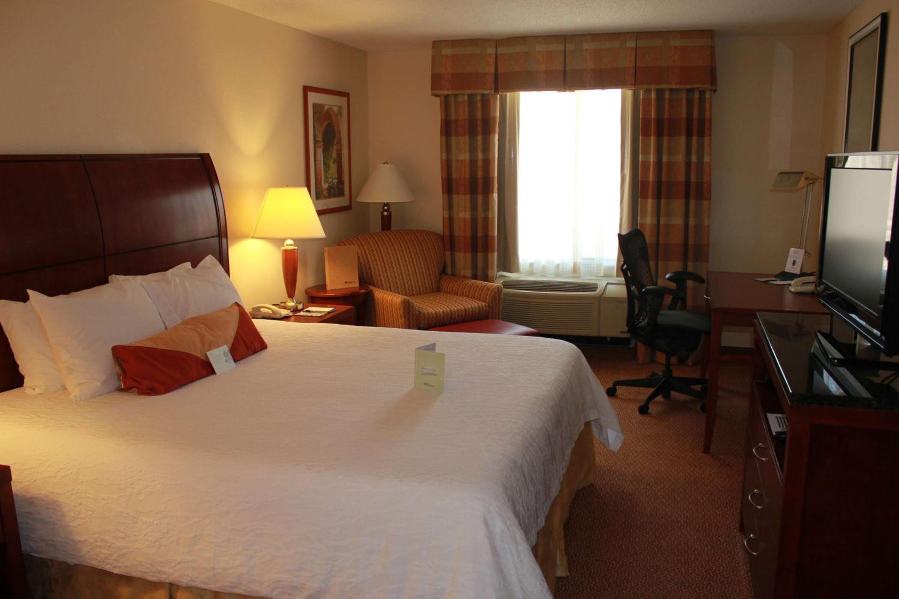 King Room - Photo 6