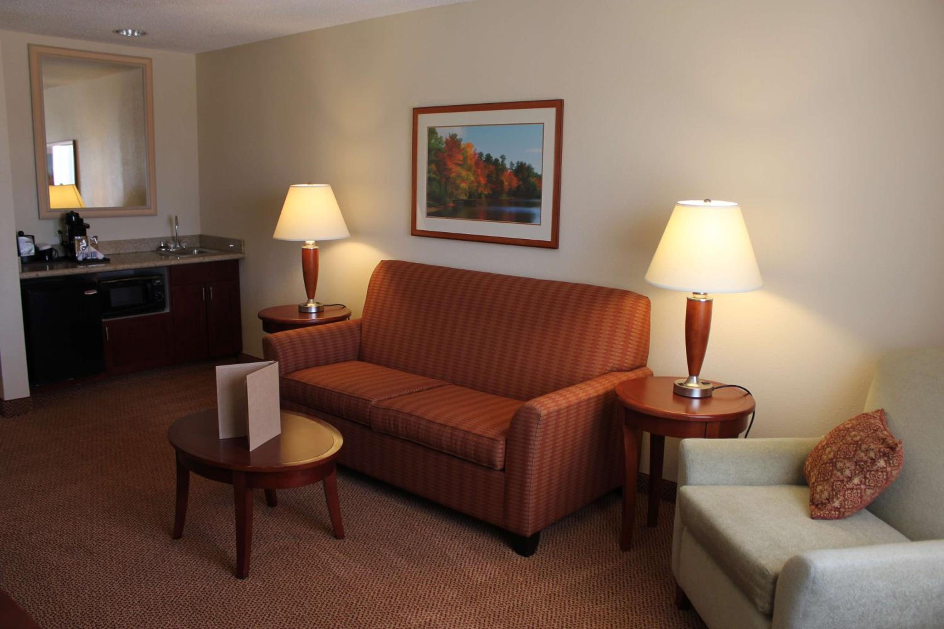 Deluxe King Suite - Photo 1