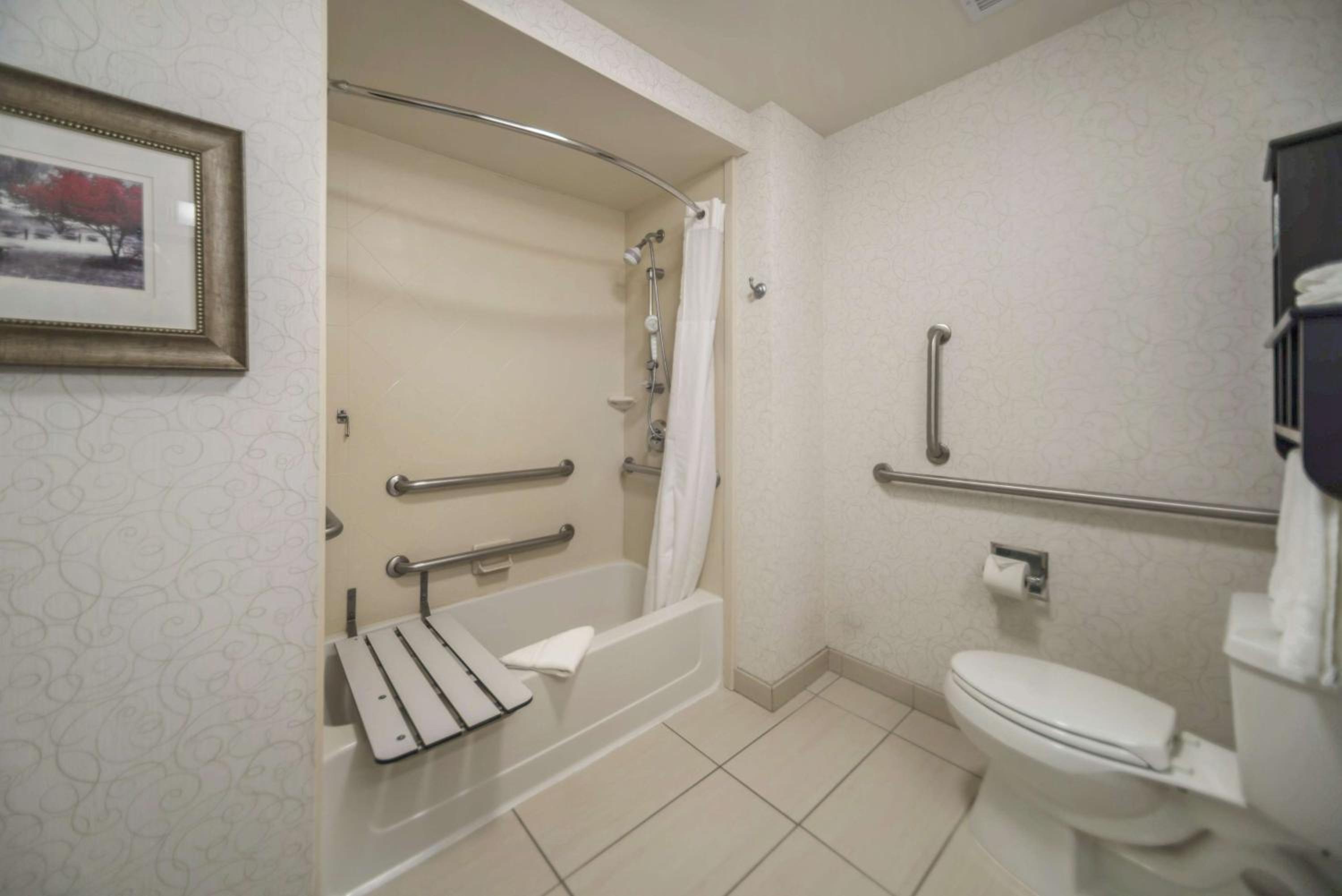 King Studio with Roll-In Shower - Mobility and Hearing Access/Non-Smoking - Photo 5