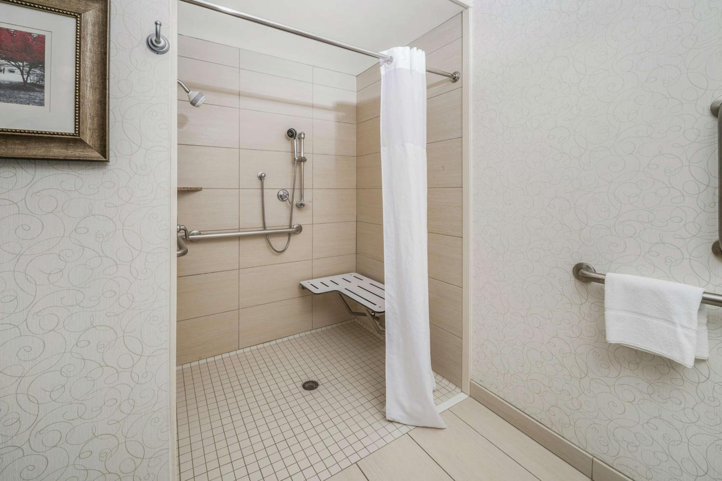 King Studio with Roll-In Shower - Mobility and Hearing Access/Non-Smoking - Photo 2