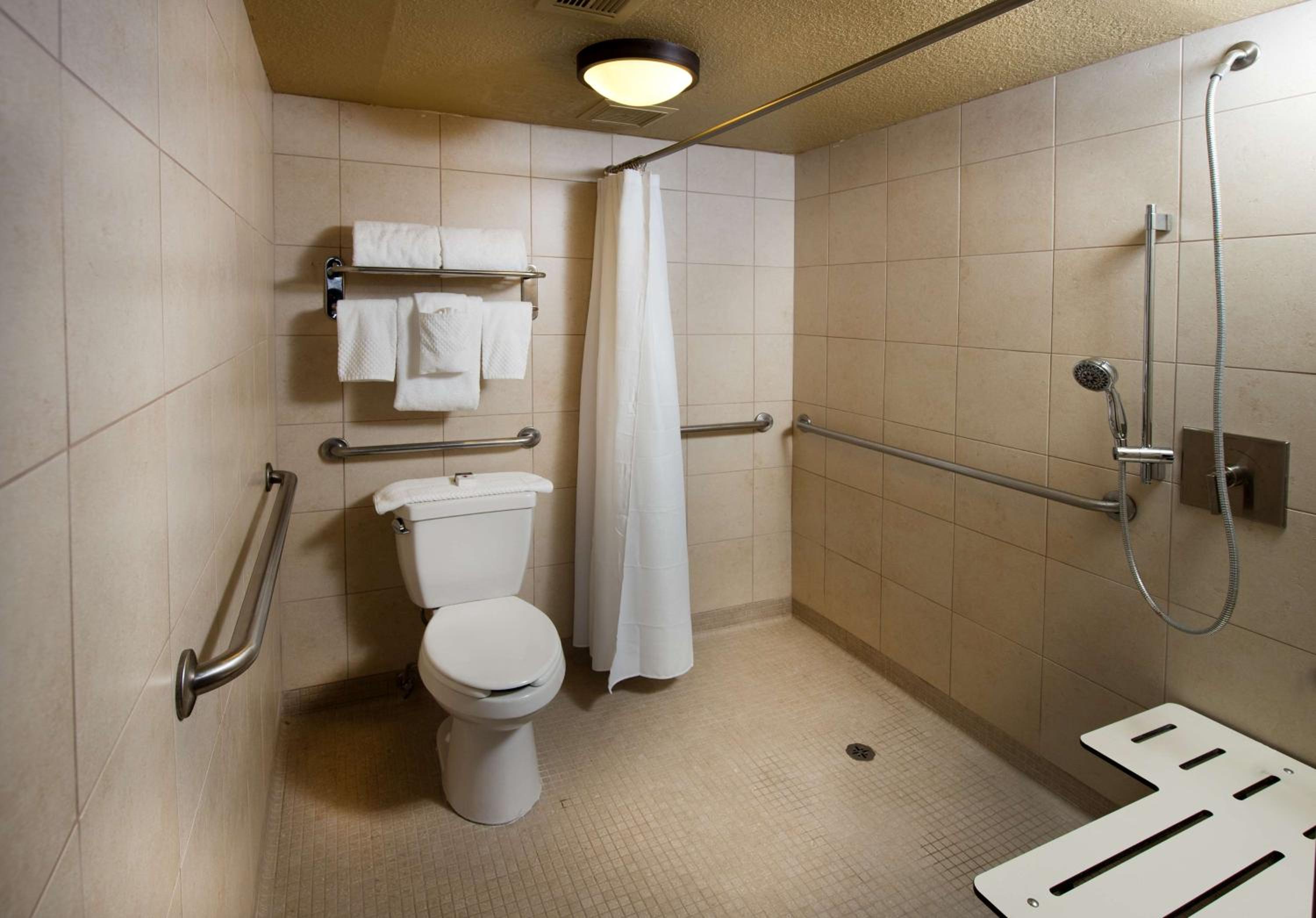 One-Bedroom King Suite with Roll-in Shower - Mobility Accessible - Photo 5