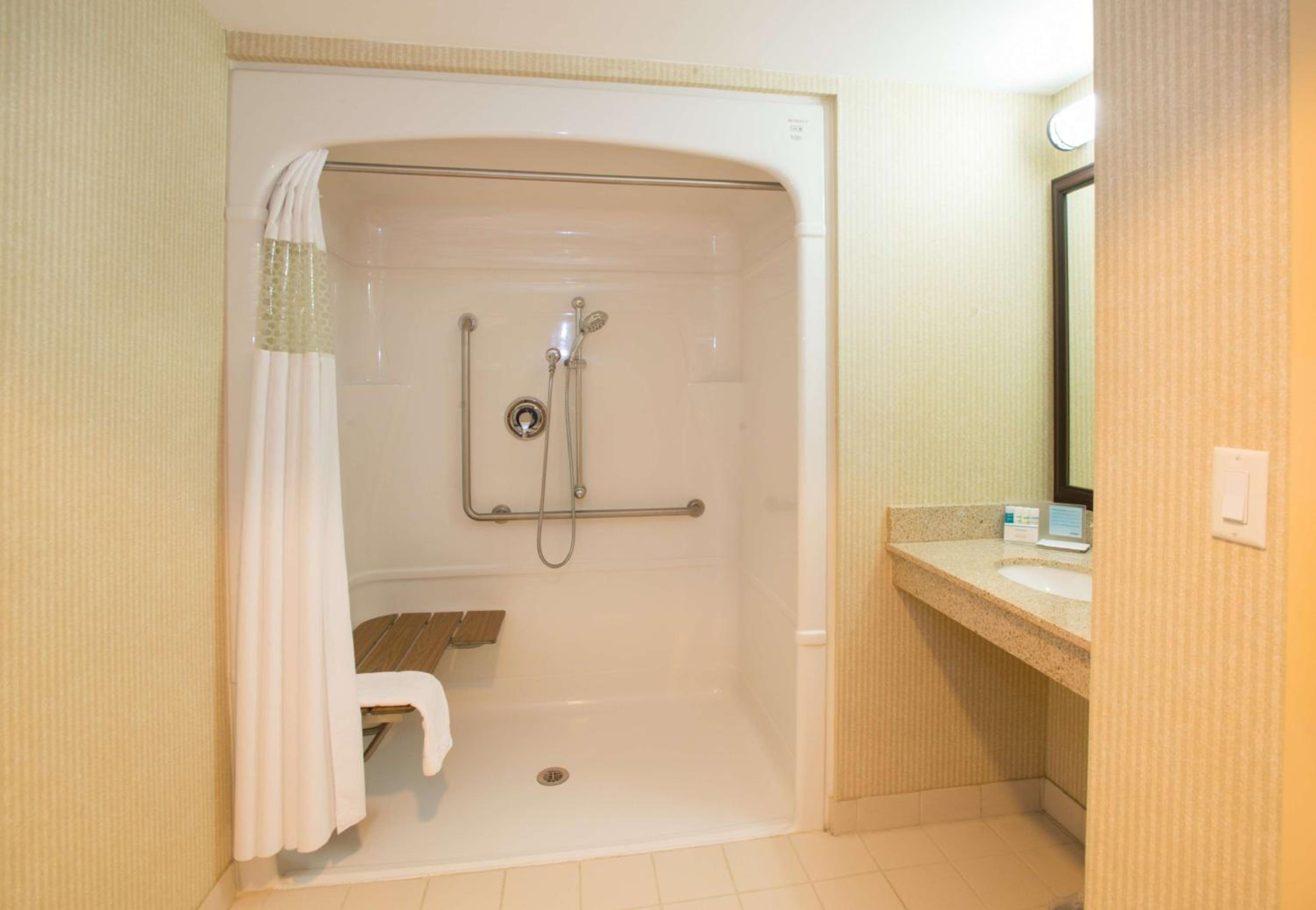 Queen Room with Roll-In Shower - Disability Access/Non-Smoking - Photo 1