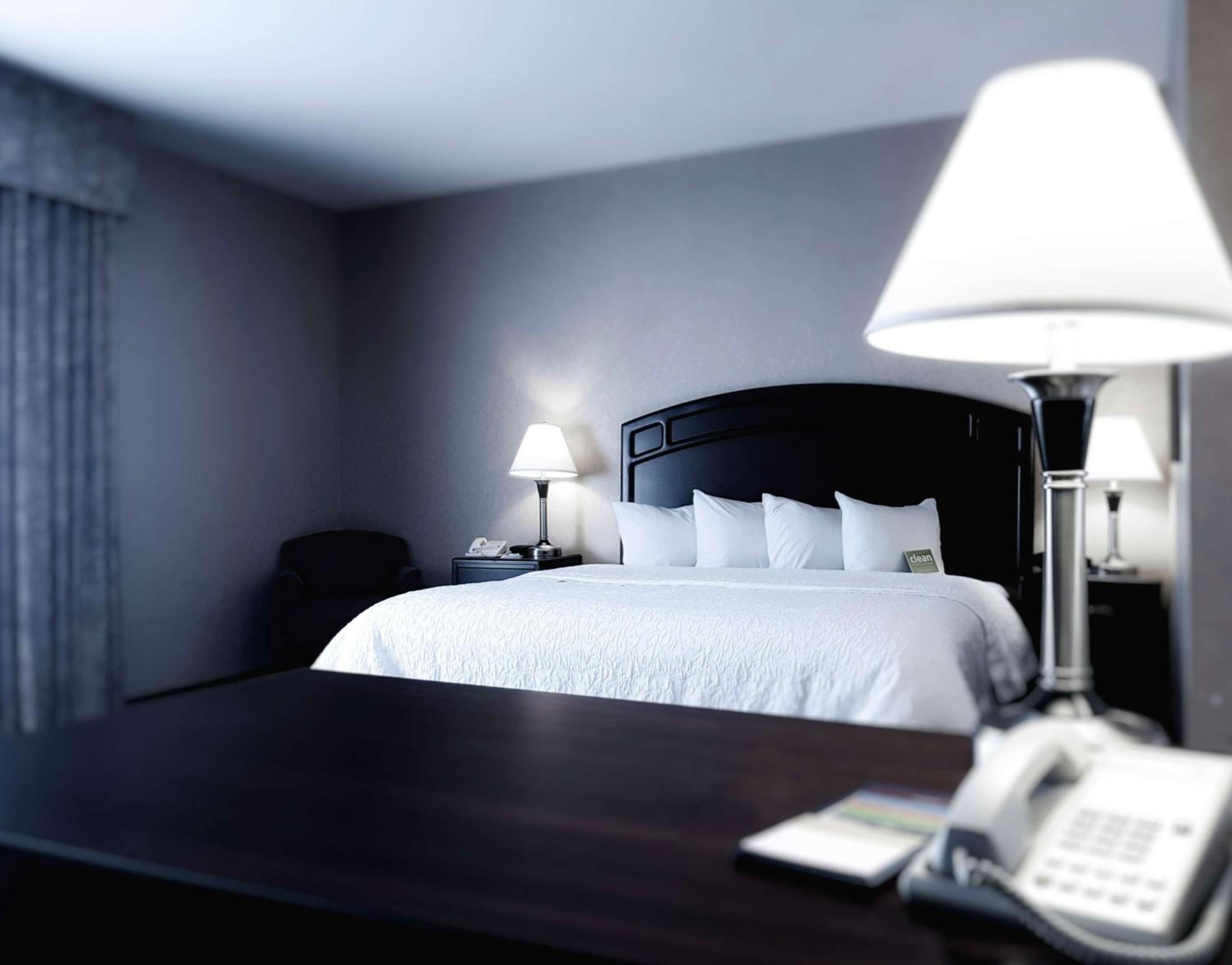 King Suite with Sofa Bed - Non-Smoking - Photo 1