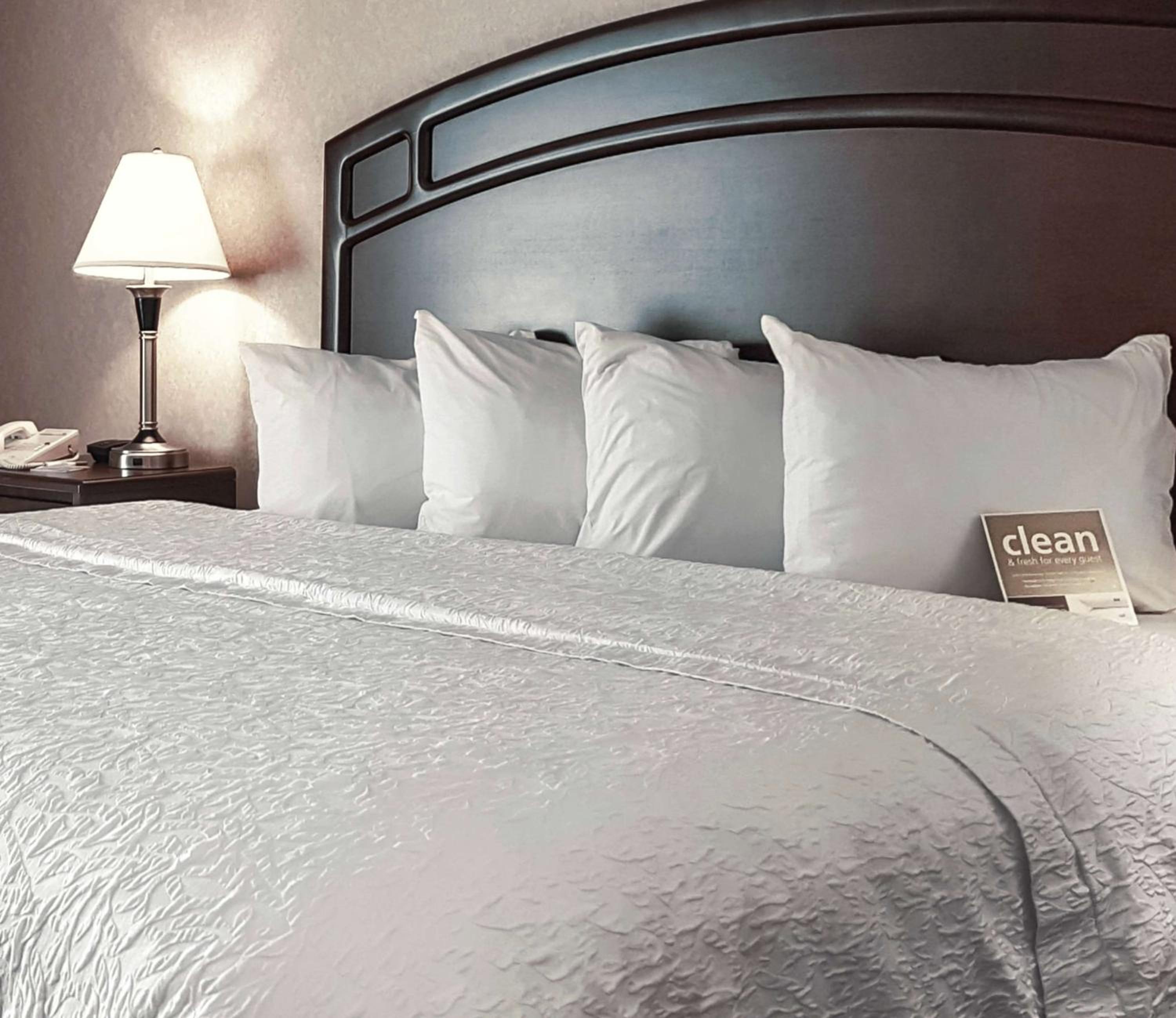 King Suite with Sofa Bed - Photo 1