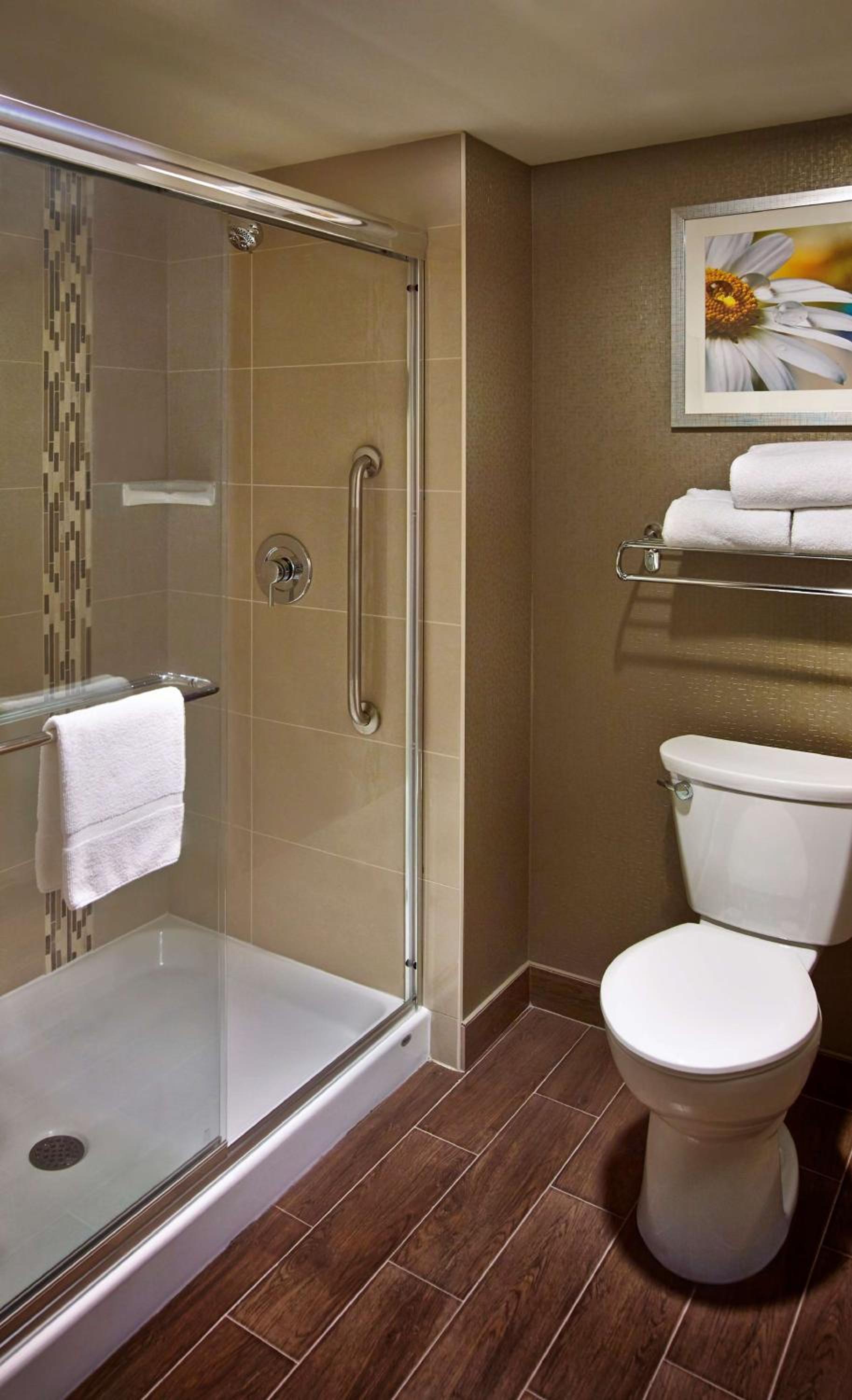 One-Bedroom King Suite - Non-Smoking