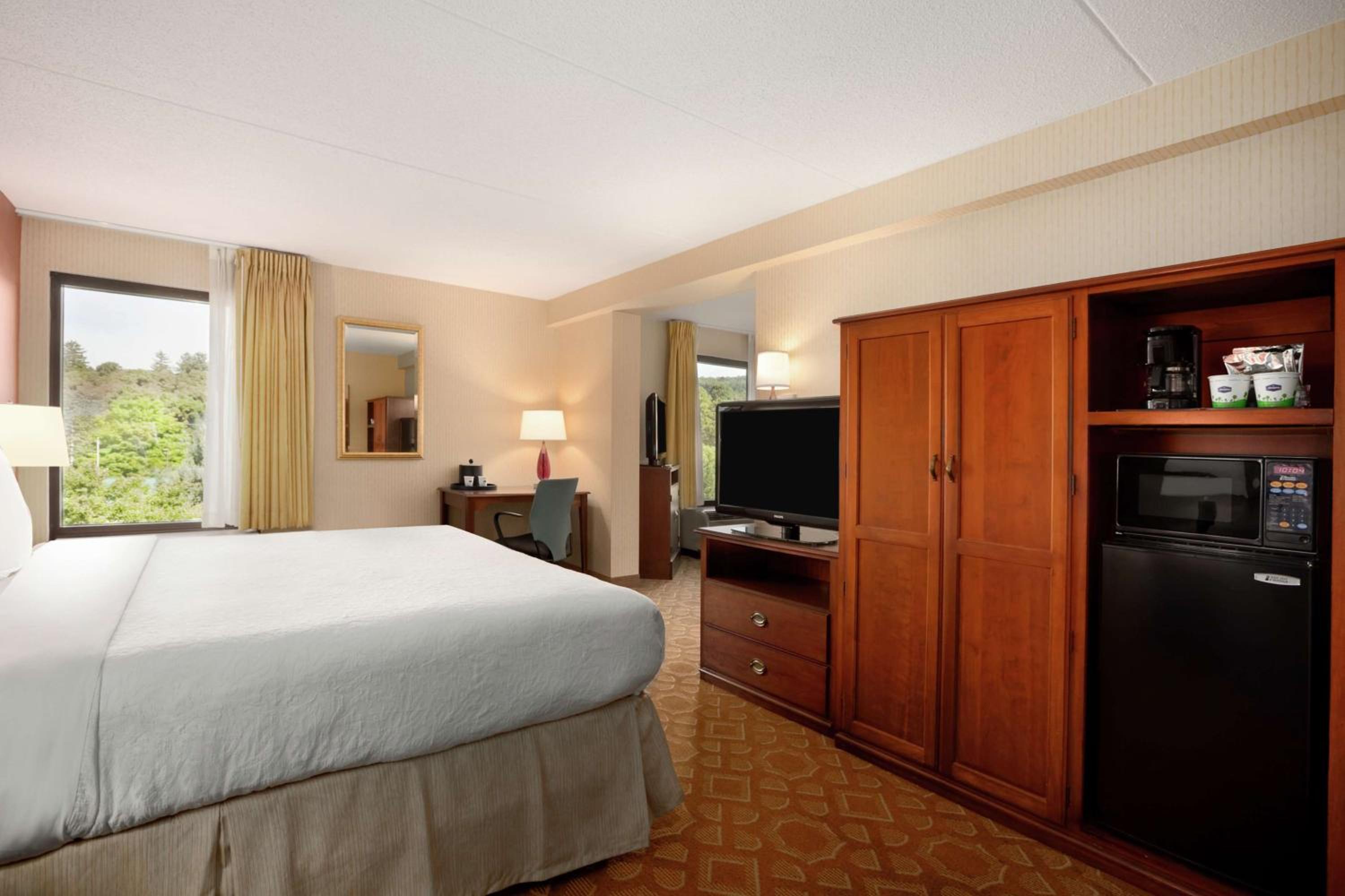 One-Bedroom King Suite with Sofa Bed - Non-Smoking - Photo 1