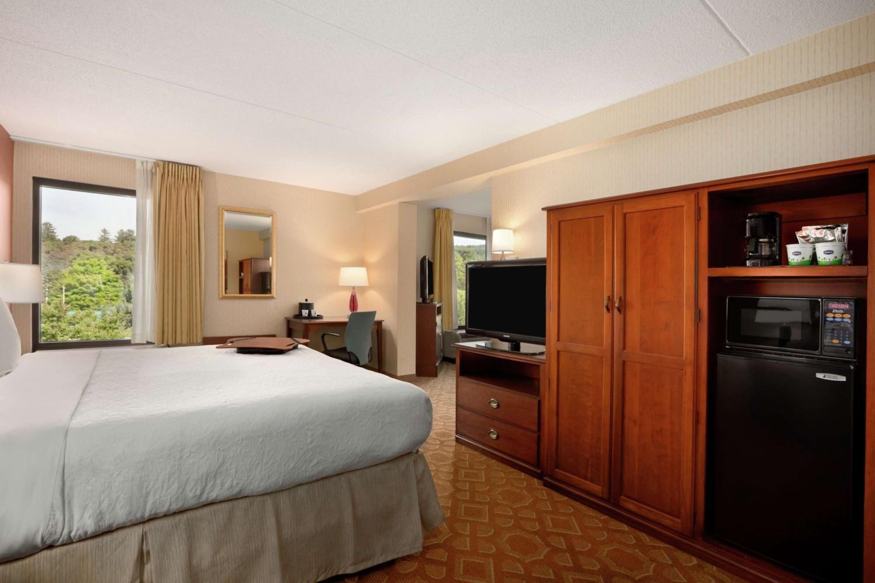 One-Bedroom King Suite with Sofa Bed - Non-Smoking - Photo 3