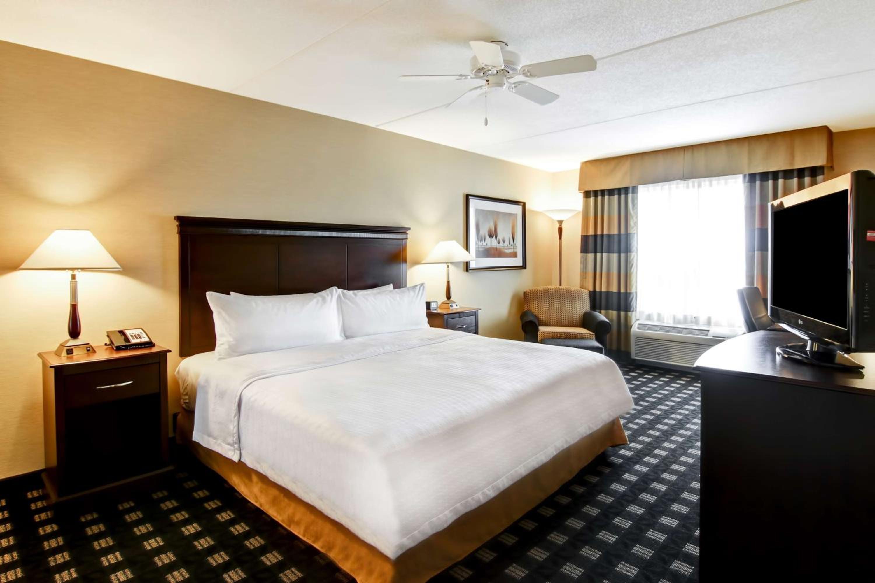 King Suite - Disability Access - Photo 2