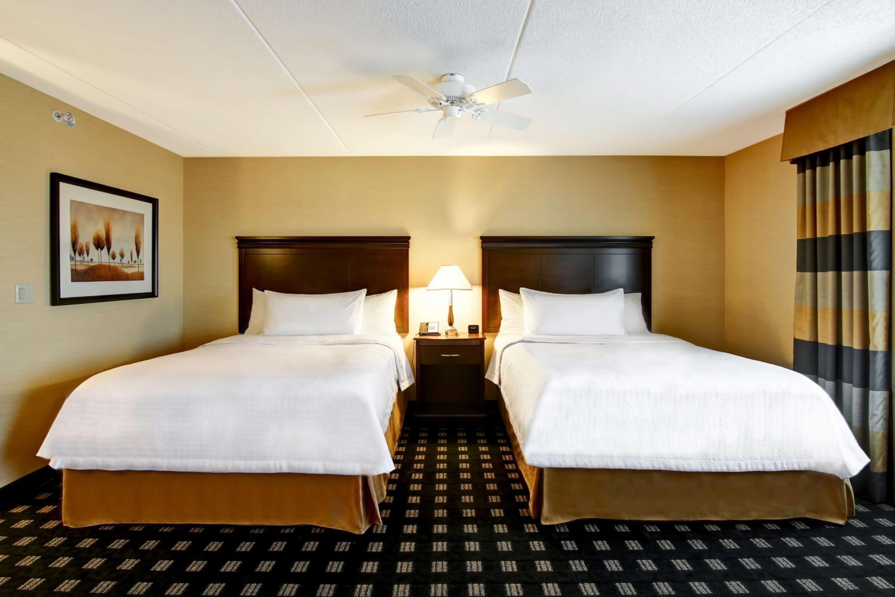 Queen Studio Suite with Two Queen Beds - Non-Smoking - Photo 6