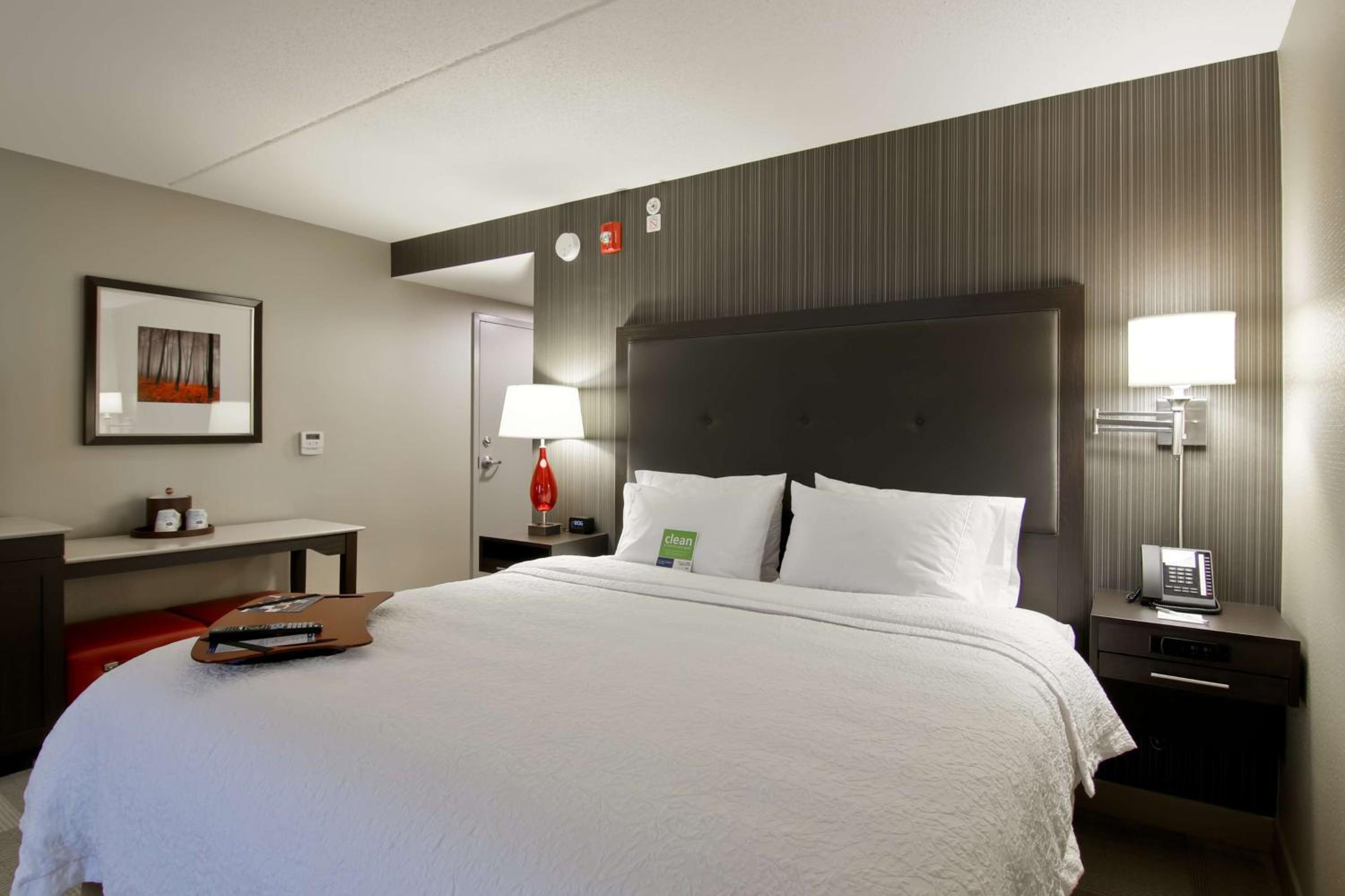 King Room - Non-Smoking photo 1