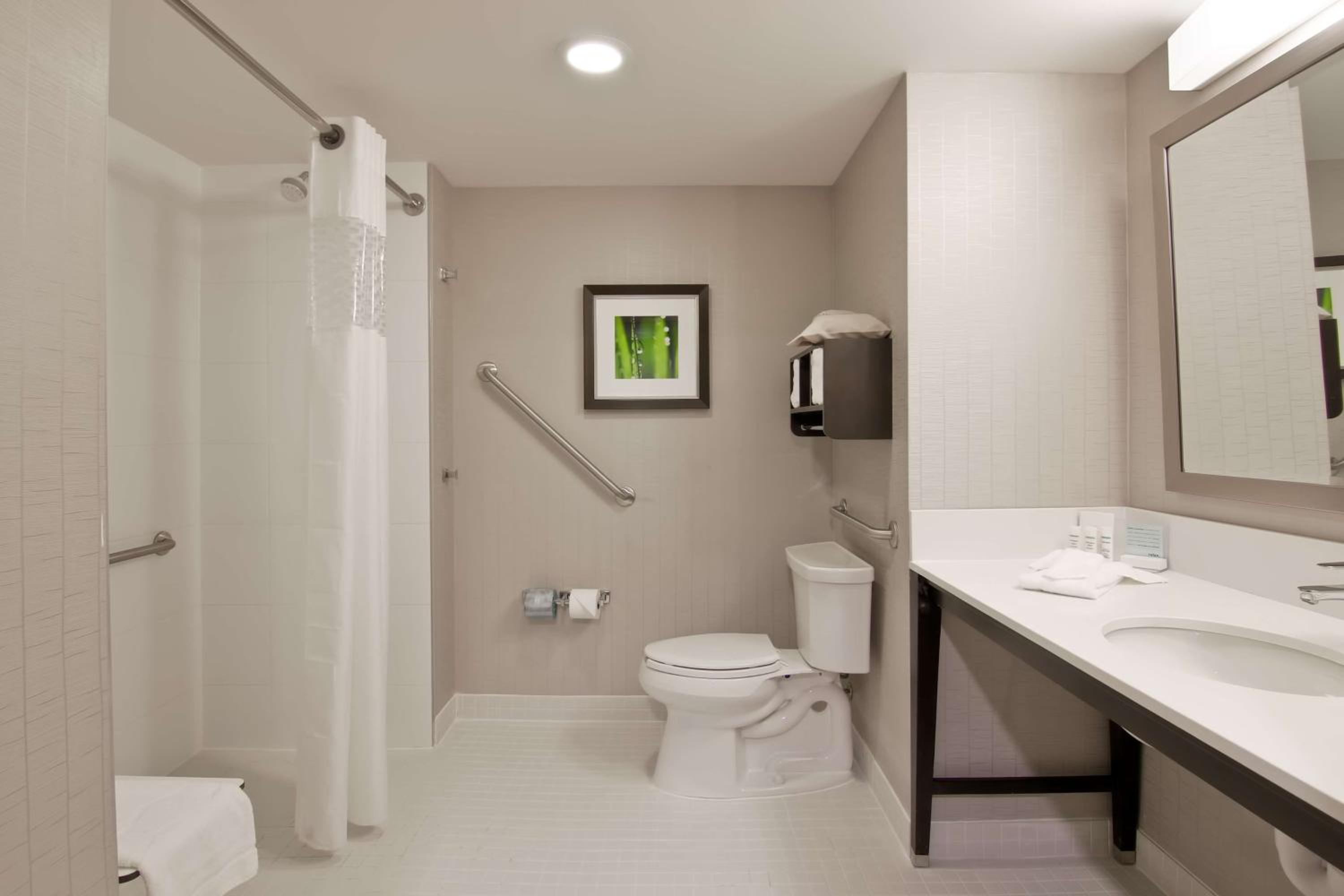 King Room with Roll-In Shower - Mobility and Hearing Access/Non-Smoking photo 2