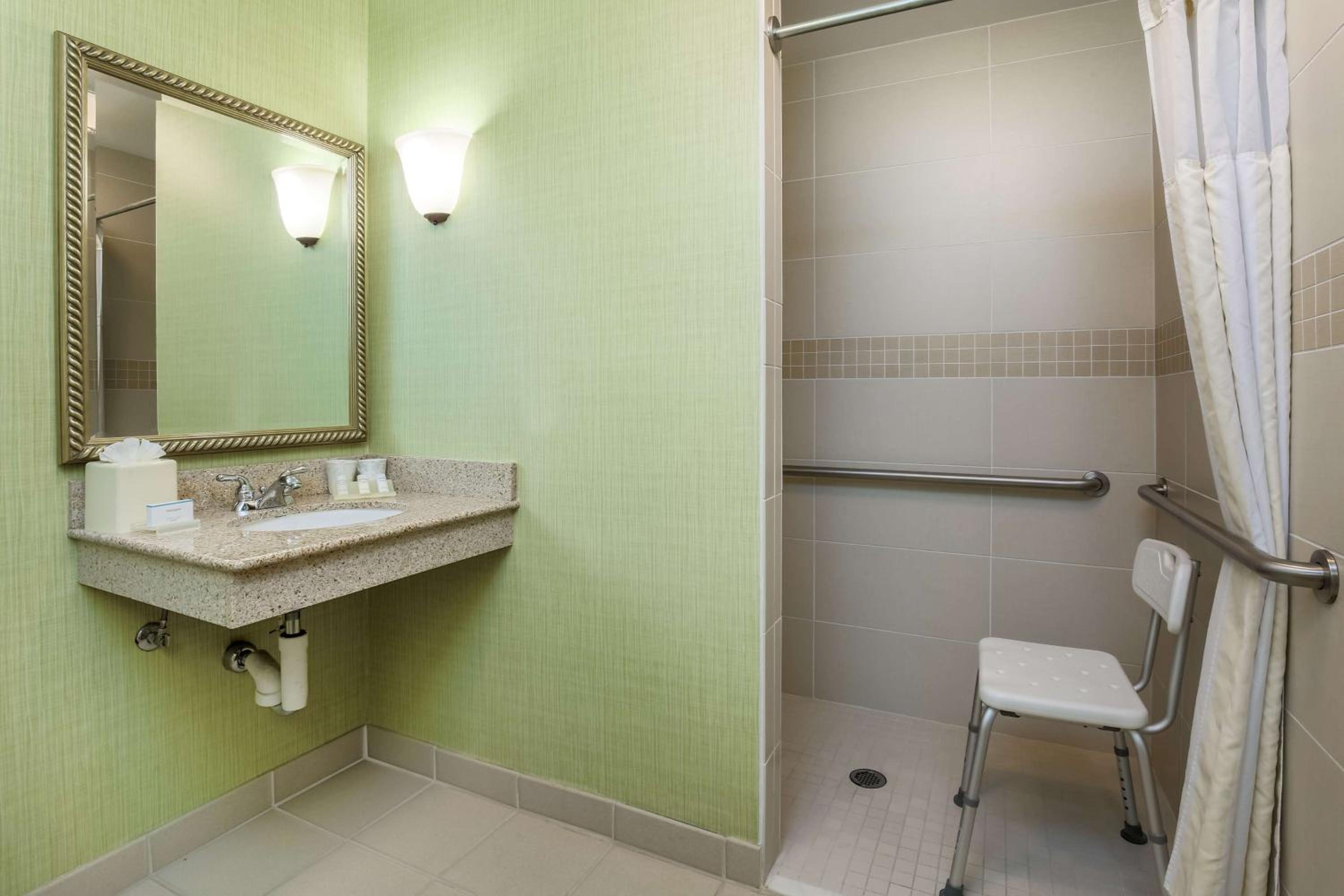 King Room with Roll-In Shower - Mobility Access - Photo 2