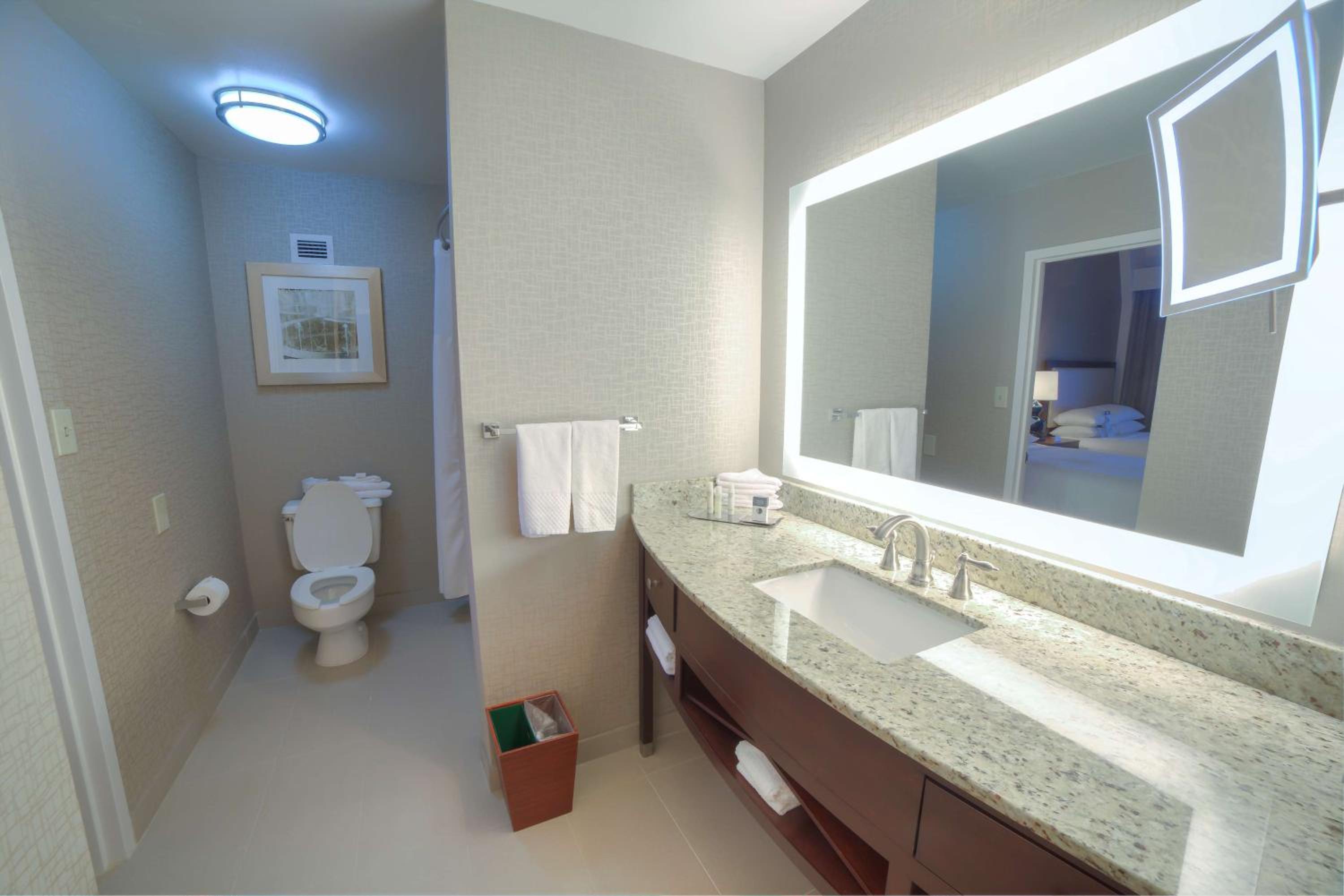 Non-Smoking Two Room King Suite - Photo 3