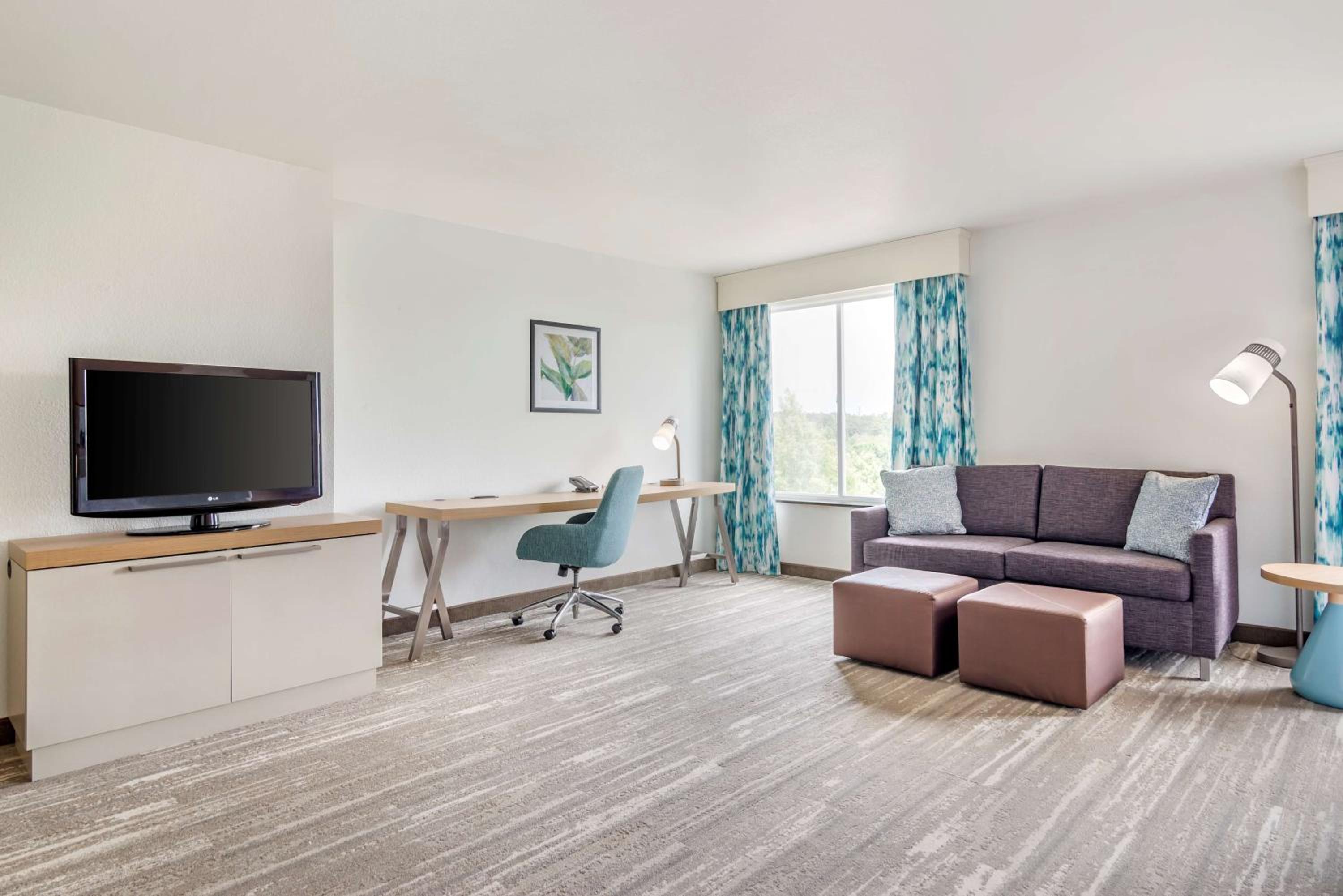One-Bedroom King Suite with Sofa Bed - Photo 8