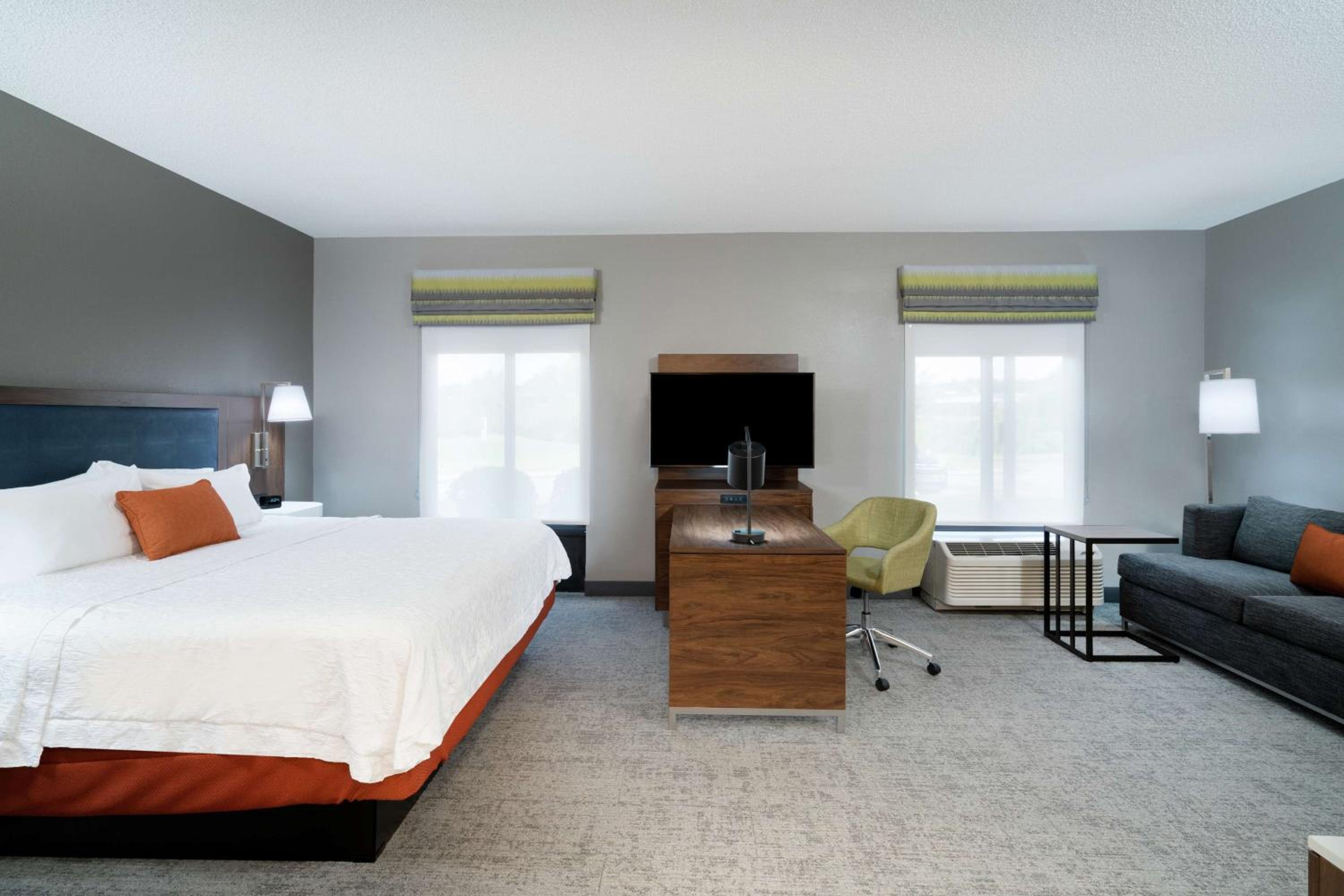 King Studio Suite with Sofa Bed - Non-Smoking - Photo 3