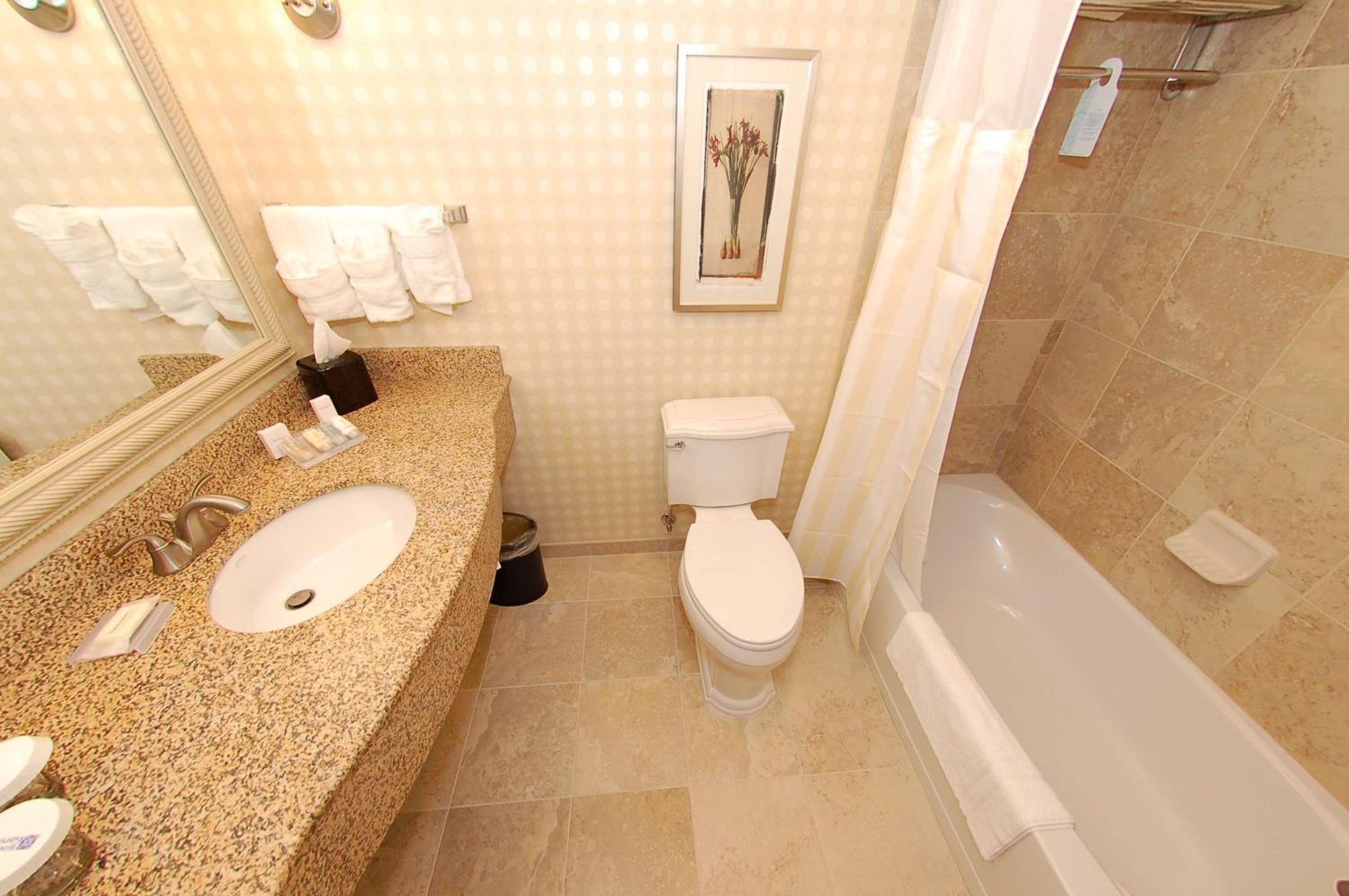 King Room with Bath Tub  - Photo 2
