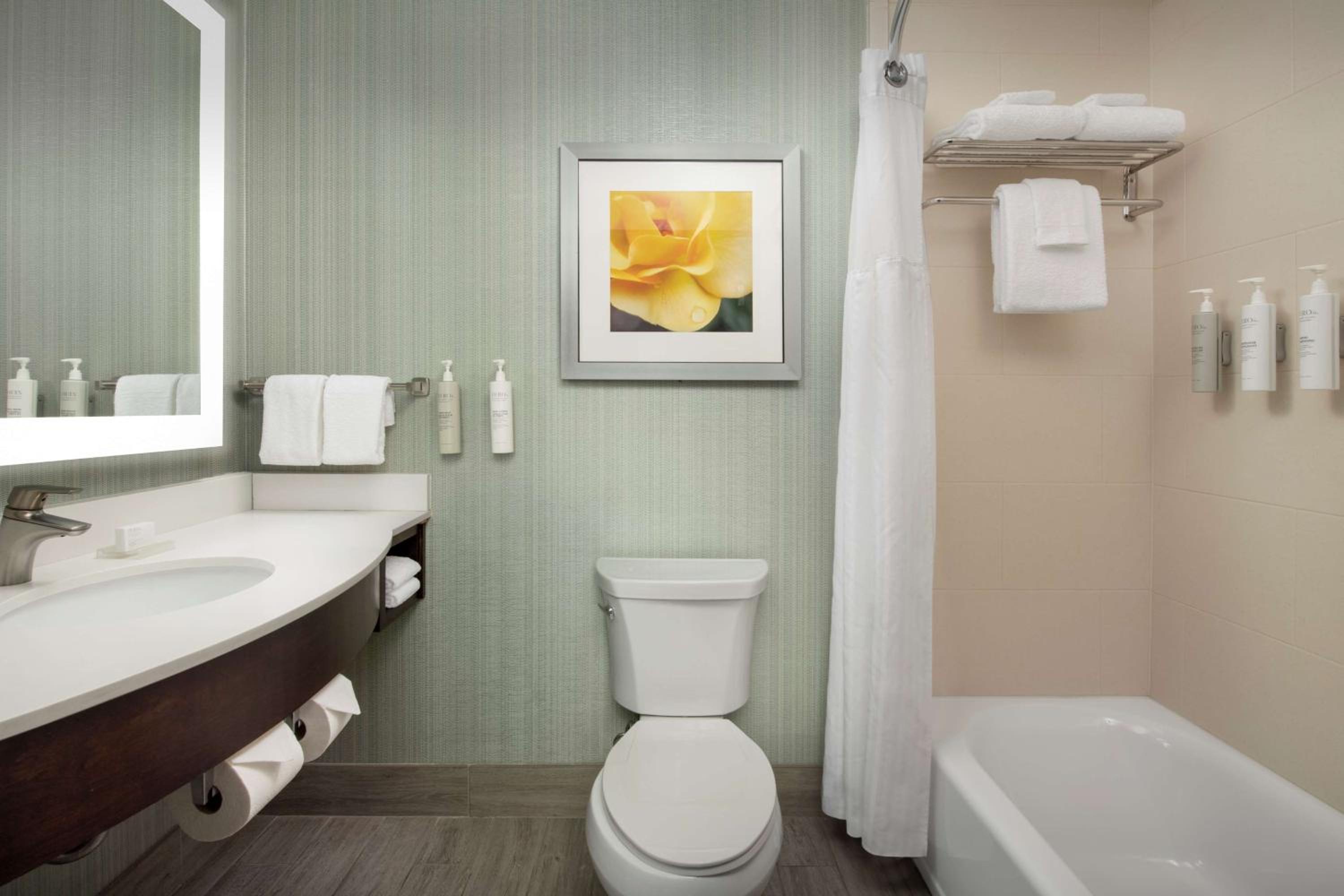 Premium Queen Room with Two Queen Beds photo 3