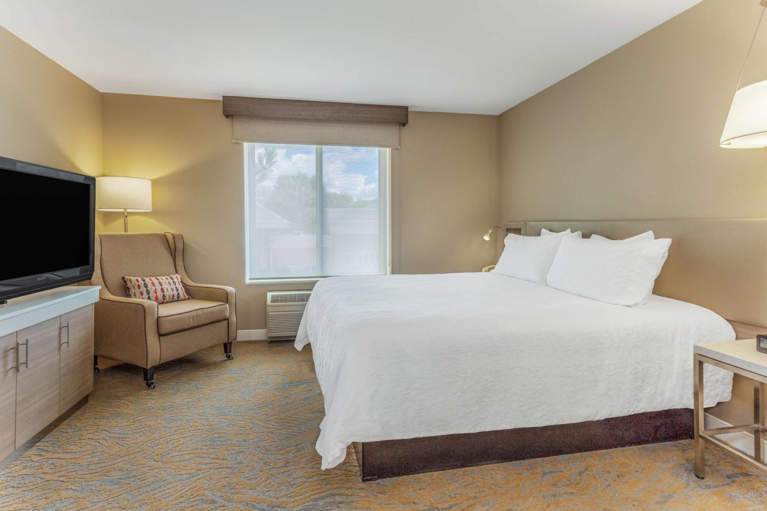 One-Bedroom King Suite with Sofa Bed
