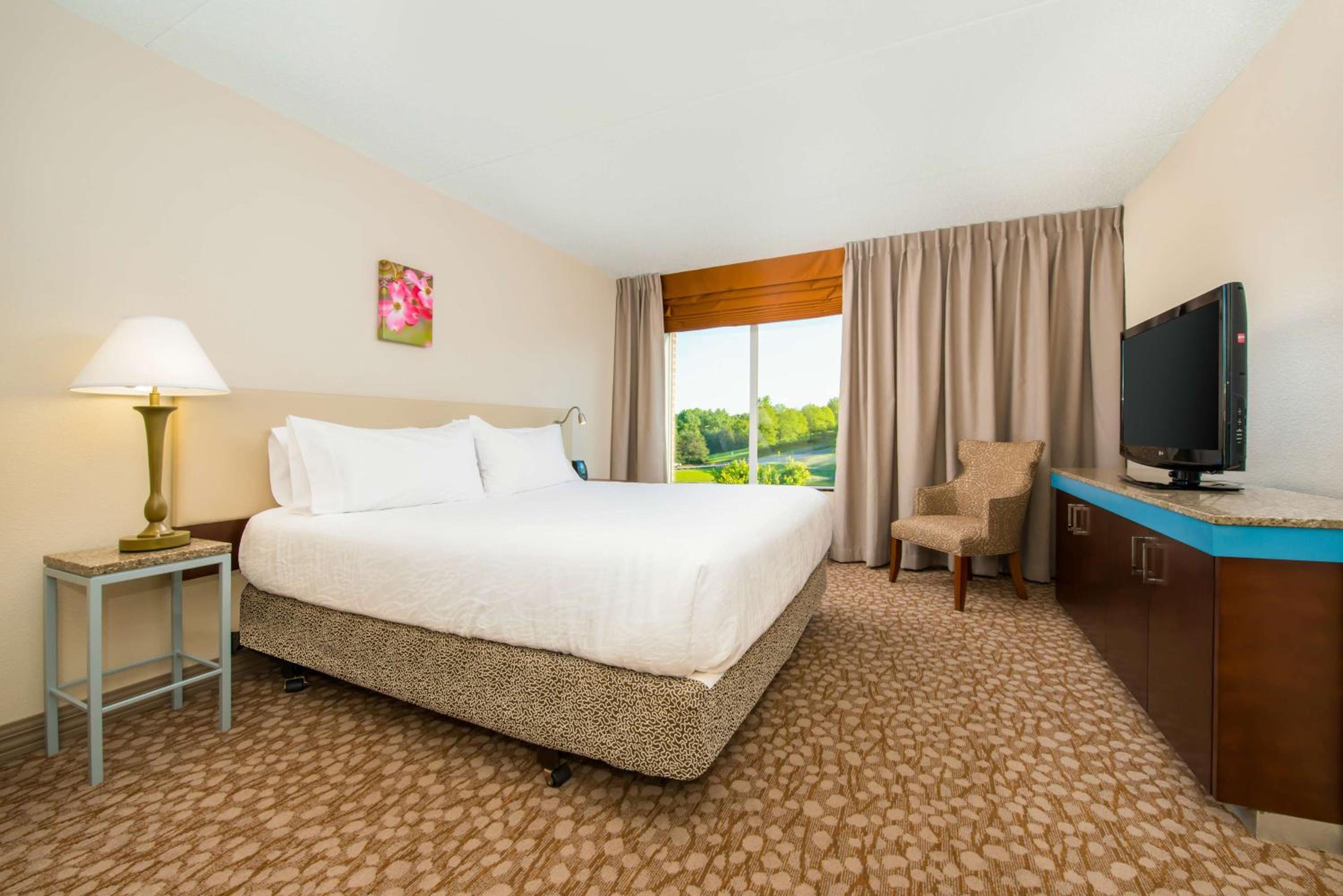 One-Bedroom King Suite - Photo 1