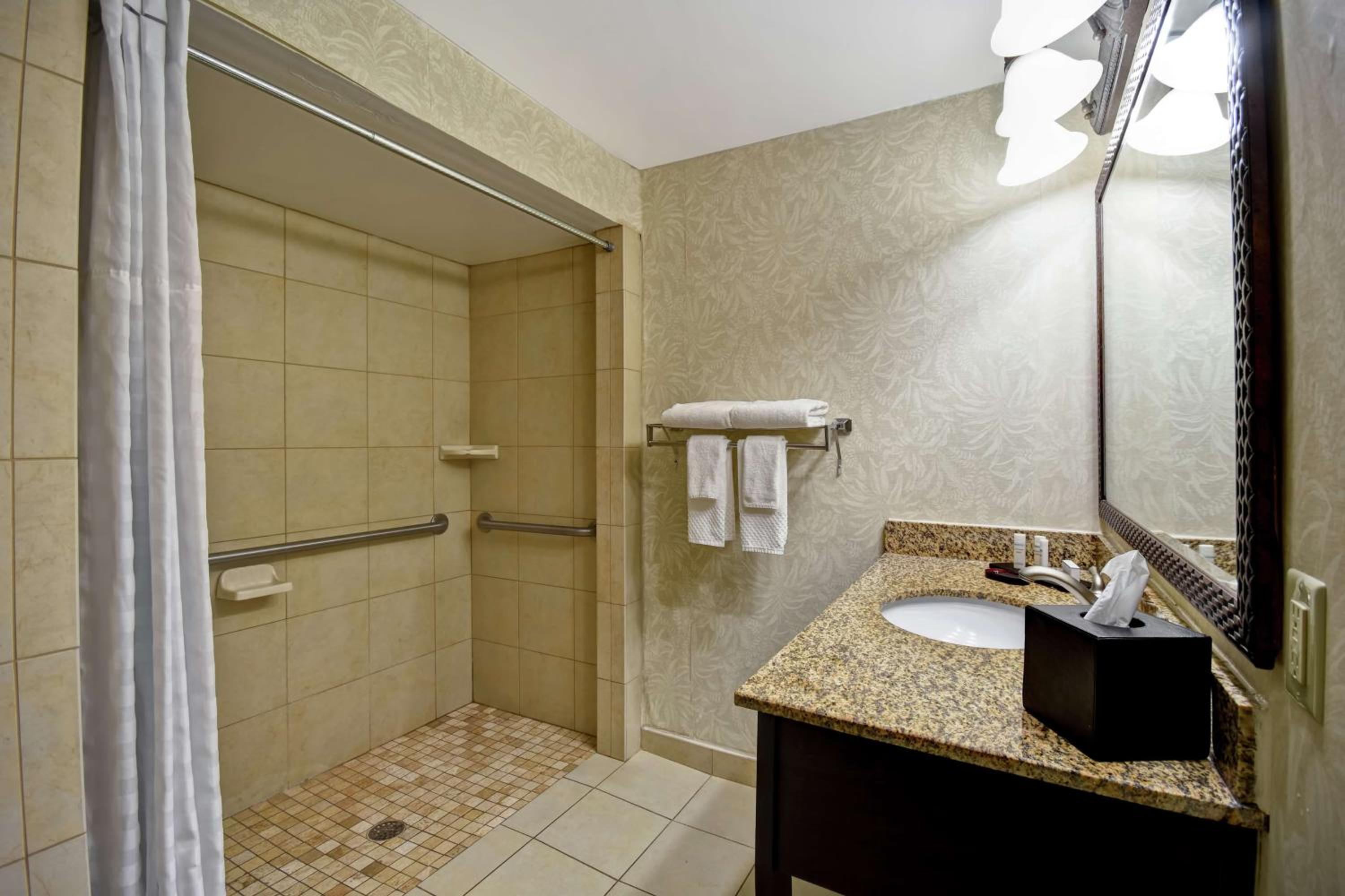 King Room with Roll-In Shower - Disability Access photo 2