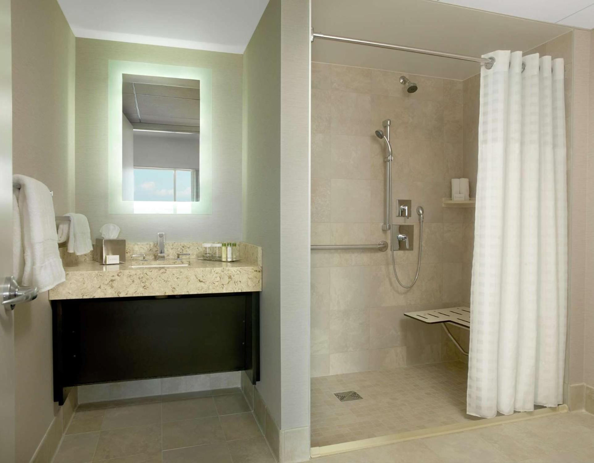 King Room with Roll-In Shower - Mobility Access - Photo 3