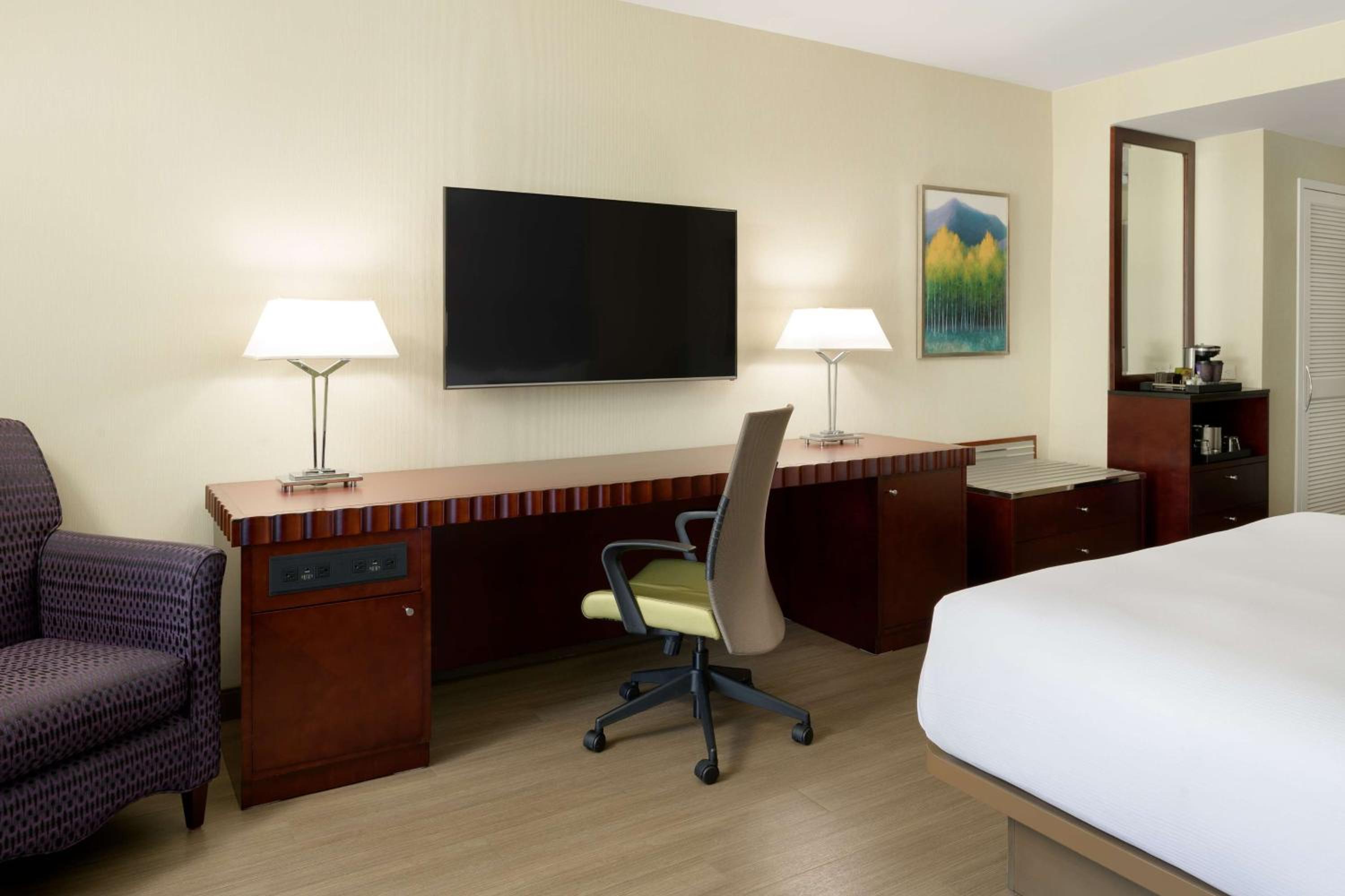 Deluxe King Room - Photo 1