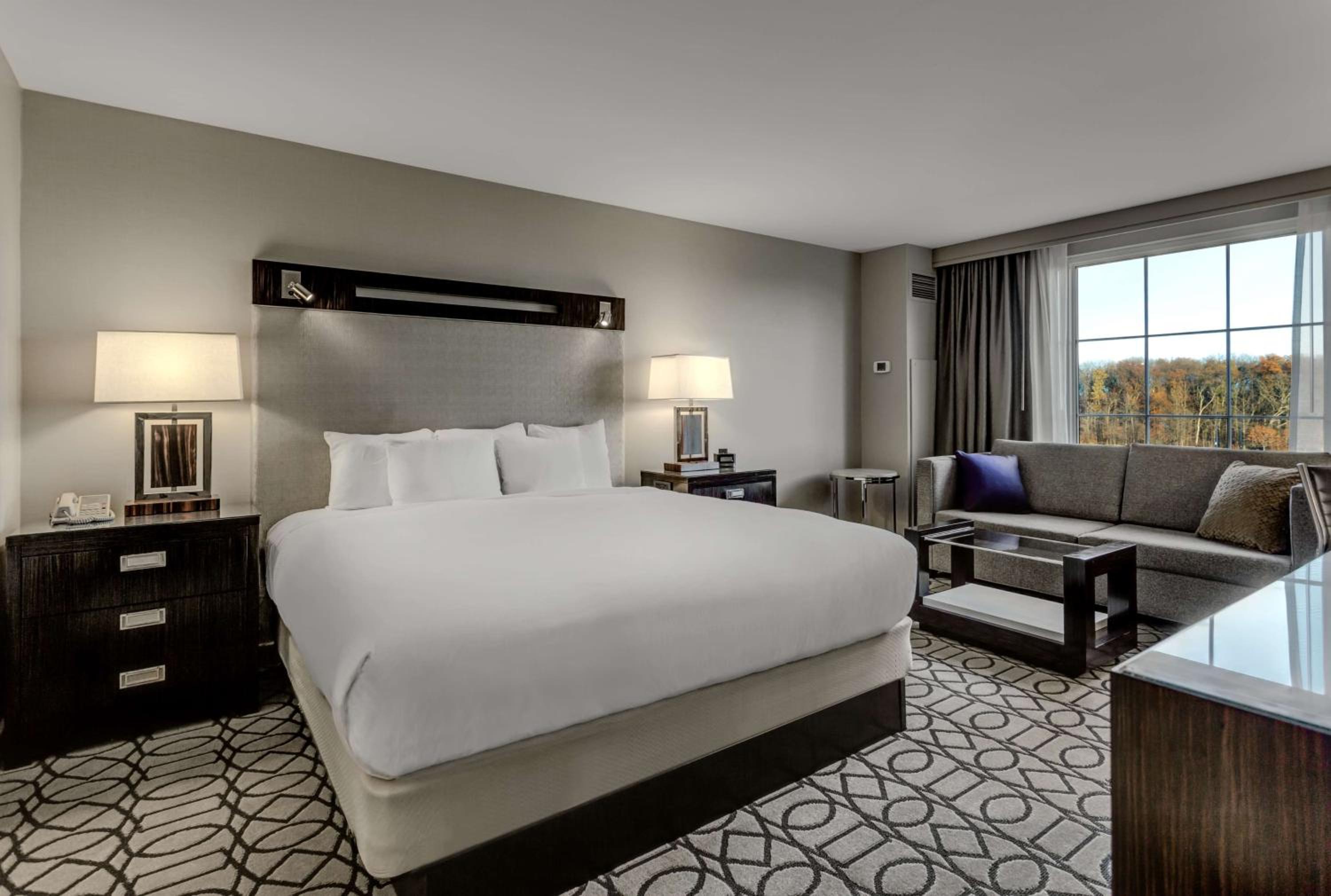 Deluxe King Room - Photo 1