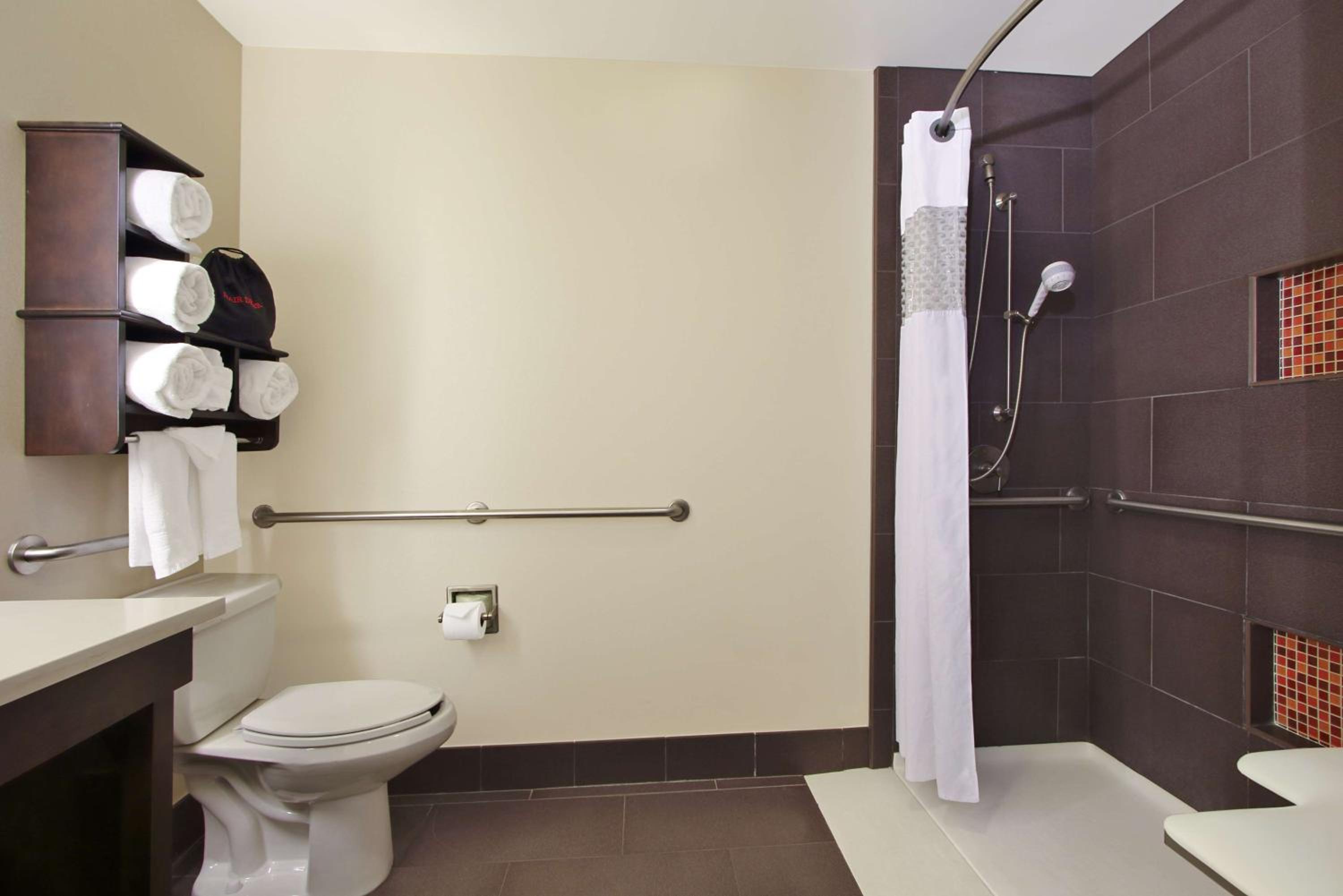King Room with Roll-In Shower - Mobility Access/Non-Smoking - Photo 5