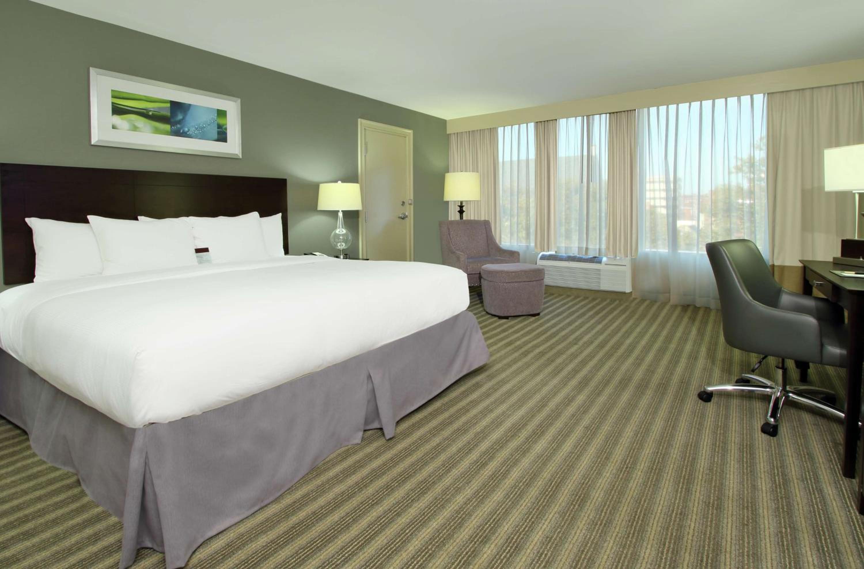 King Studio Suite - Photo 2