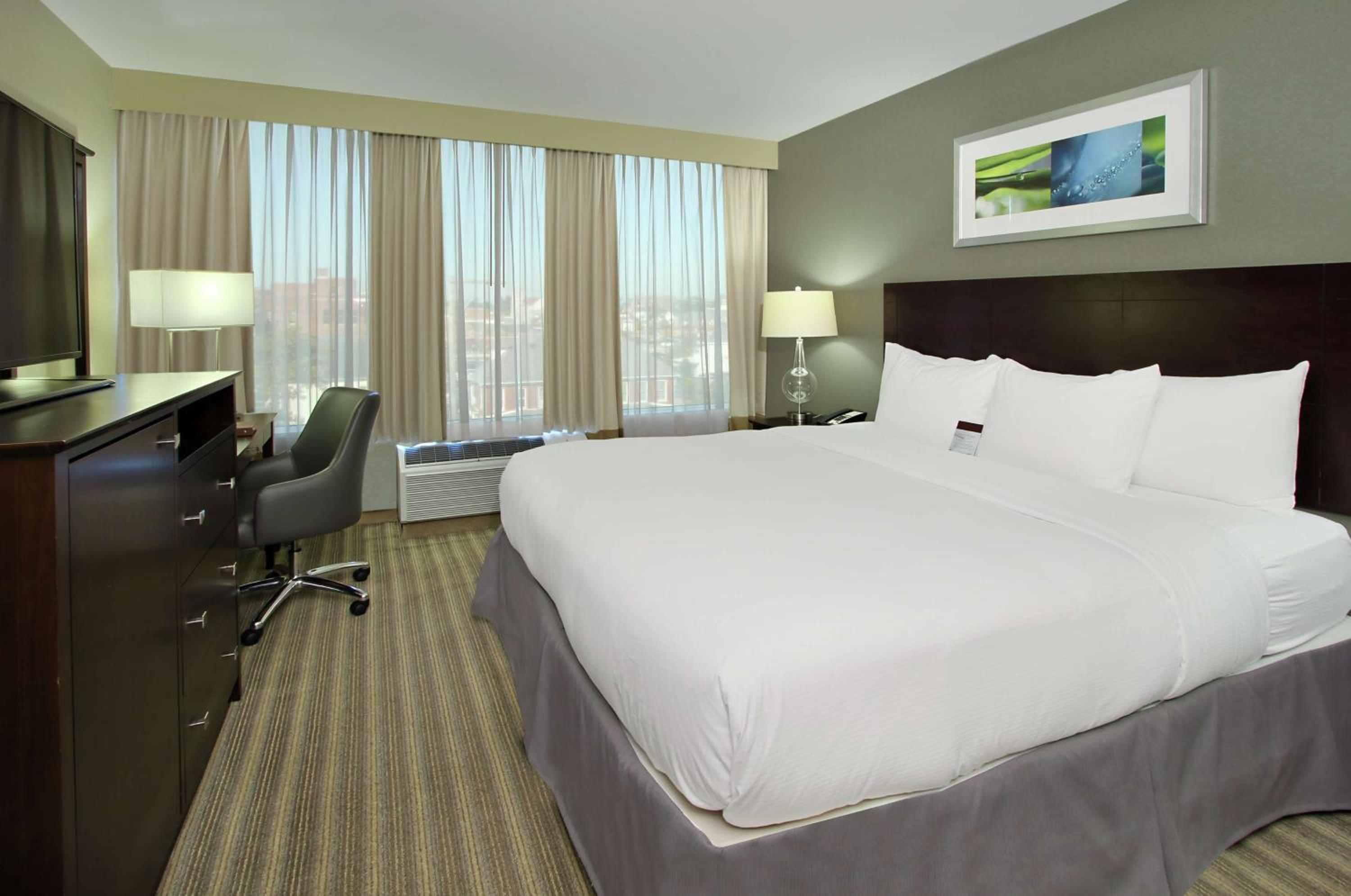 One-Bedroom King Suite - Photo 4
