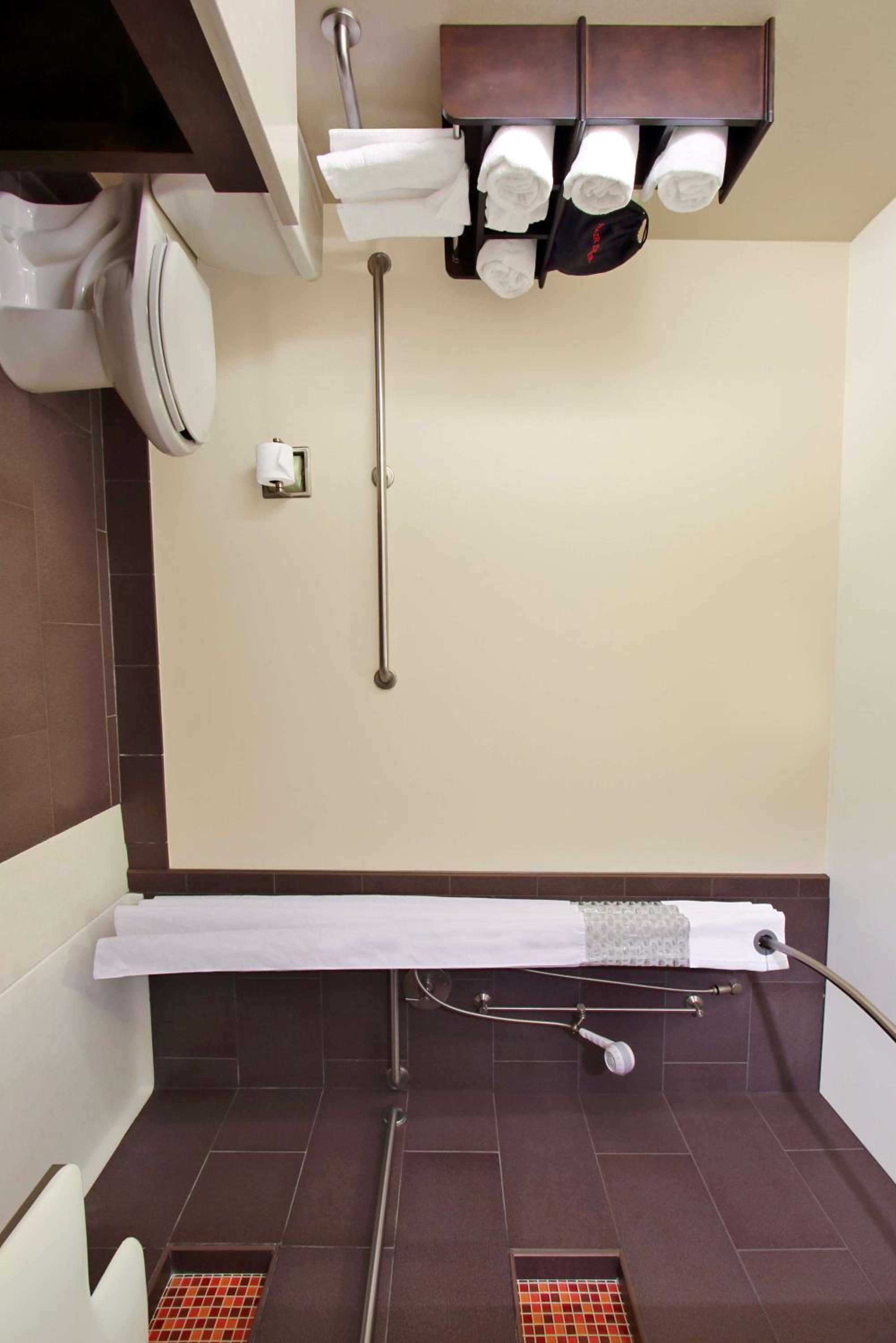 King Room with Roll-In Shower - Mobility Access/Non-Smoking - Photo 4