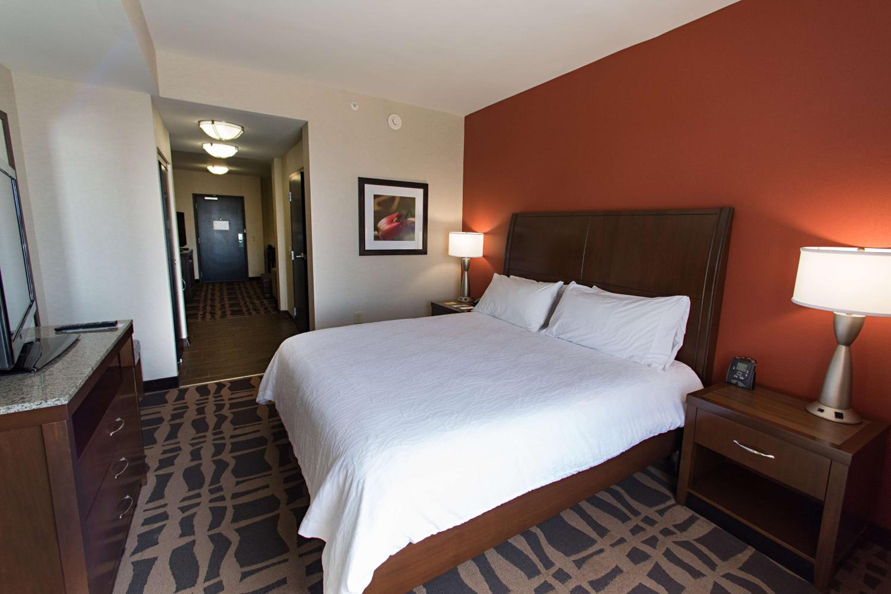 One-Bedroom King Suite with Sofa Bed photo 3