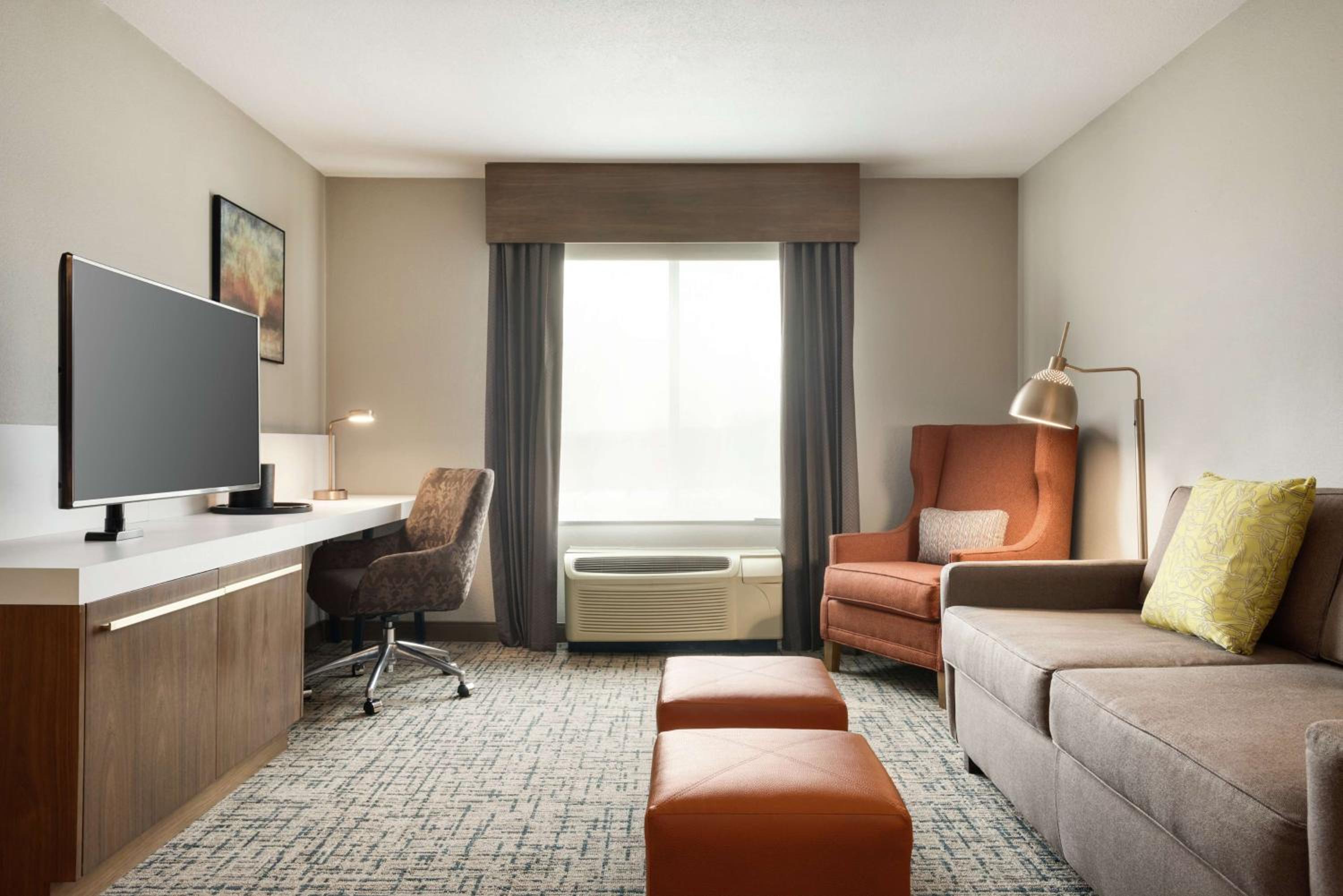 Deluxe One-Bedroom Suite with King Bed - Photo 3