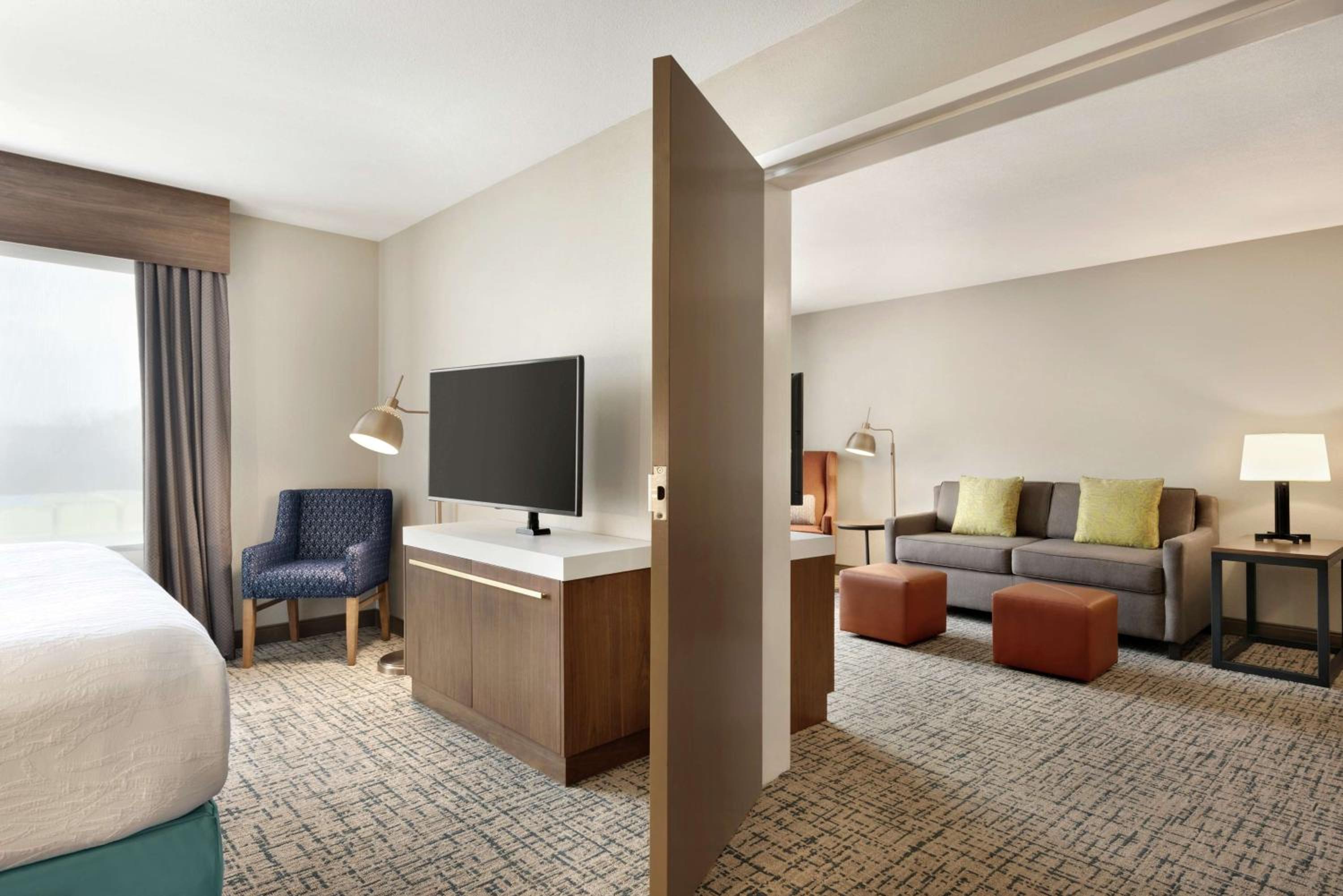 Deluxe One-Bedroom Suite with King Bed - Photo 4