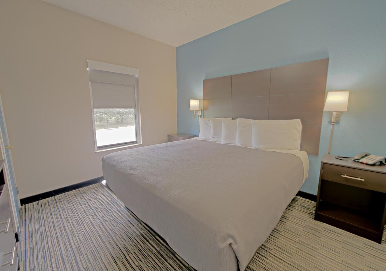 One Bedroom King Suite with Sofa Bed photo 1