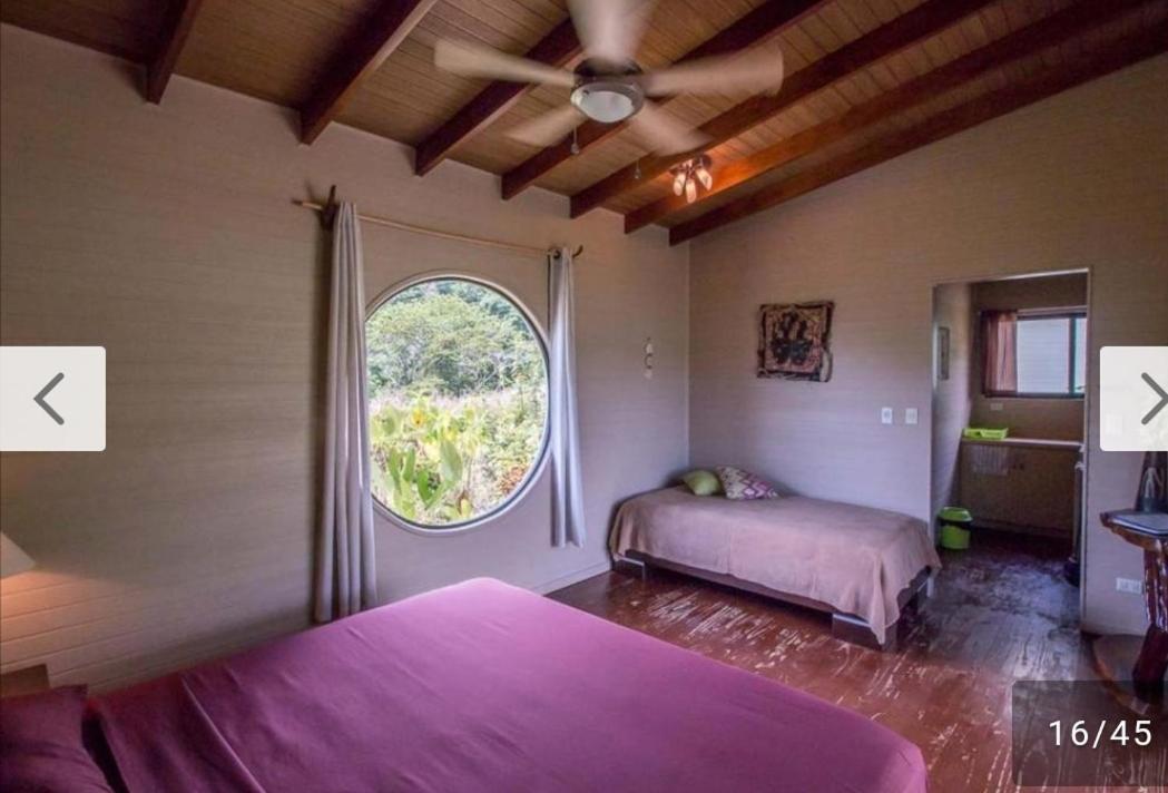 Bungalow photo 1
