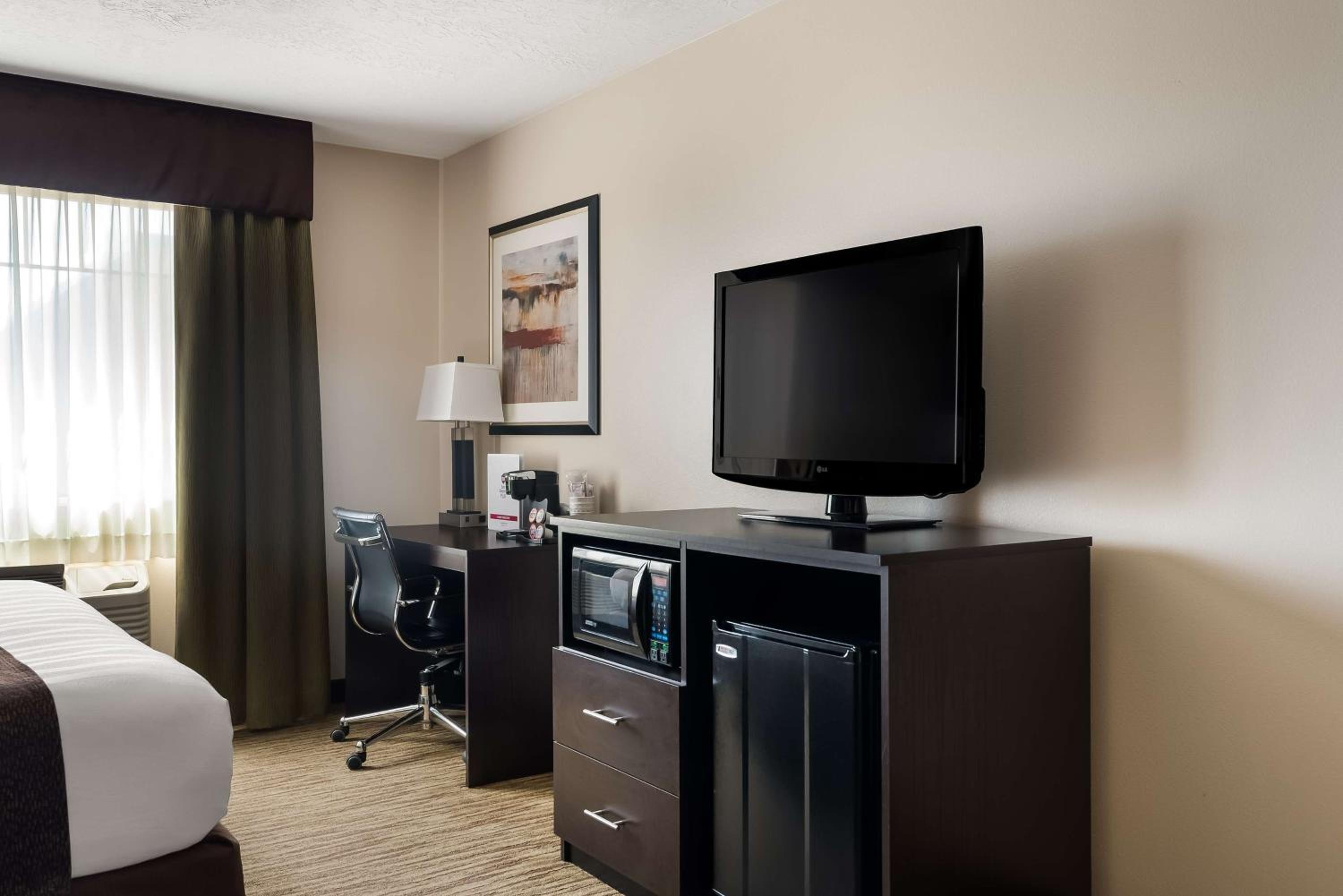 King Room with Sofa Bed - Pet Friendly photo 2