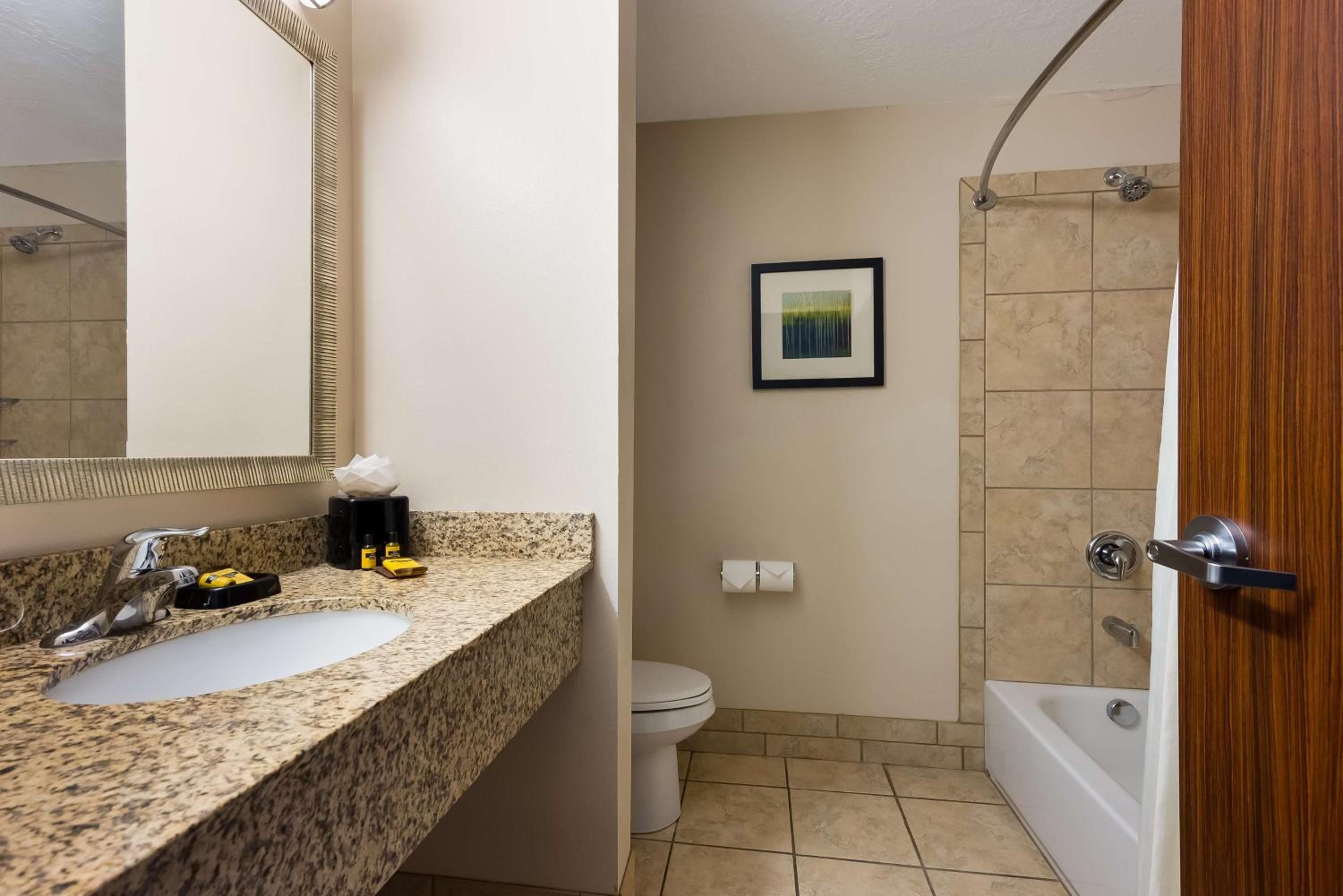 King Room with Kitchenette - Pet Friendly/Non-Smoking photo 3
