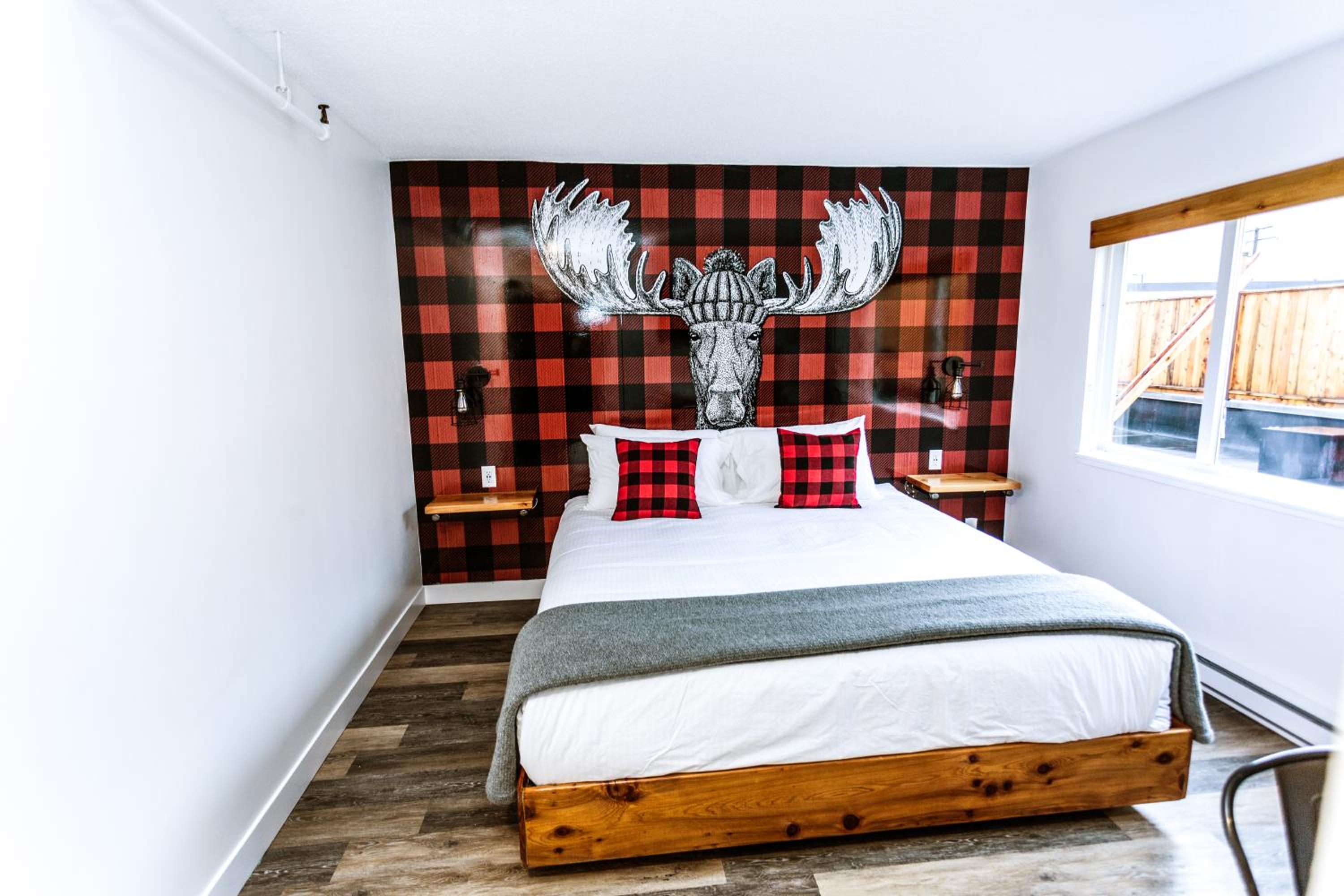 King Room - Photo 1