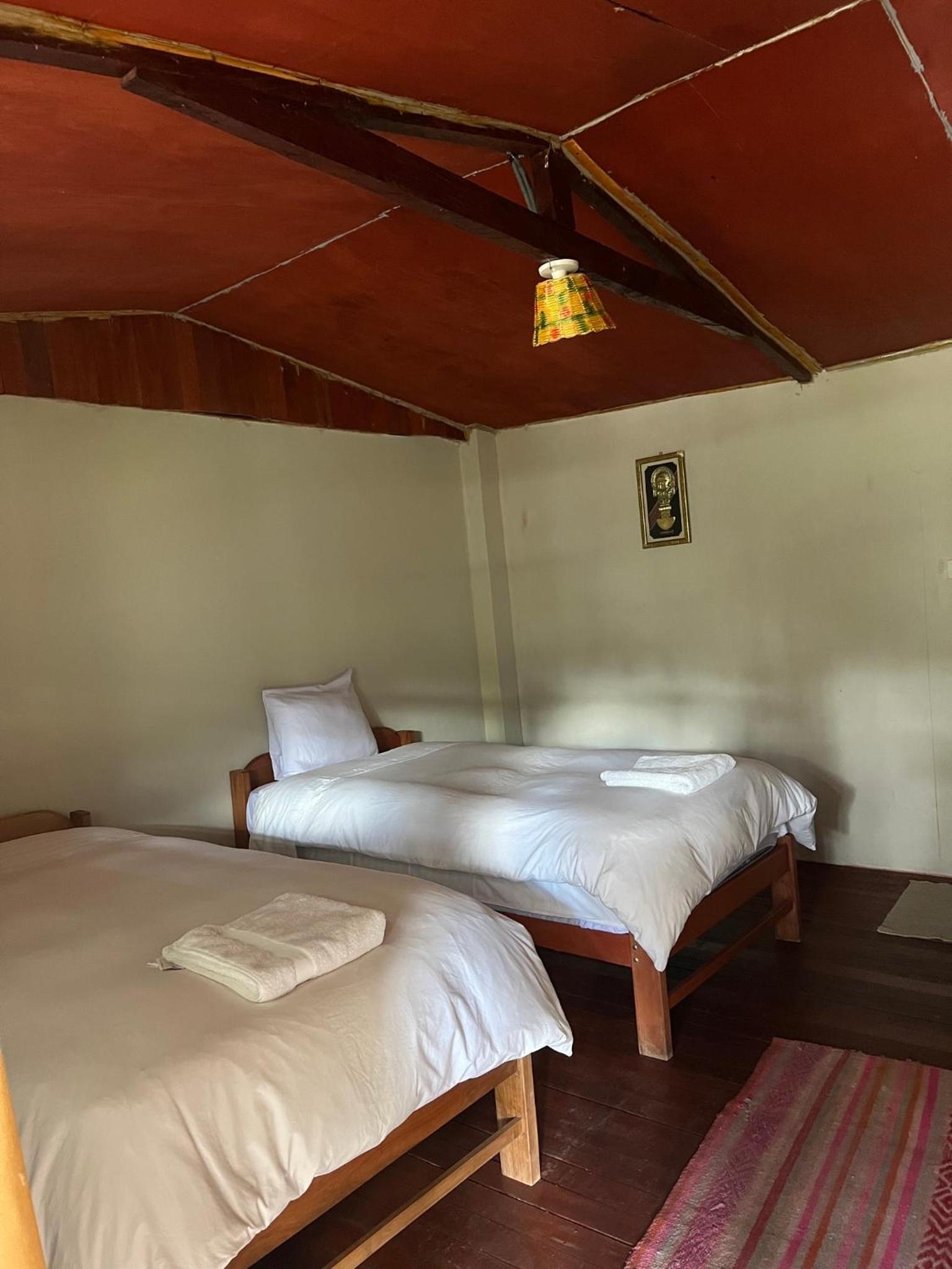 Double or Twin Room photo 3