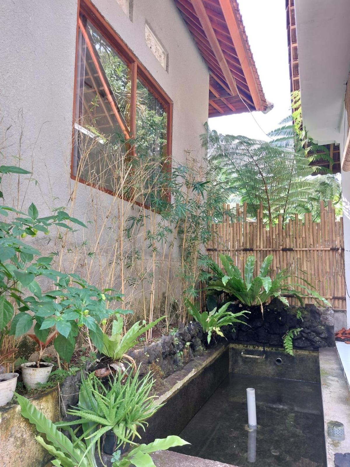 Double Room with Private Bathroom photo 2