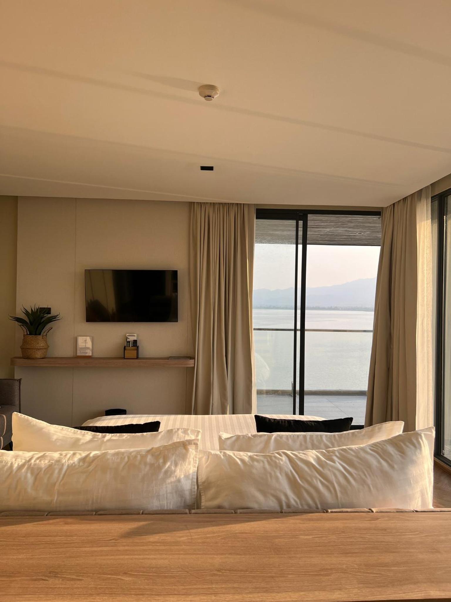 Suite - Photo 1