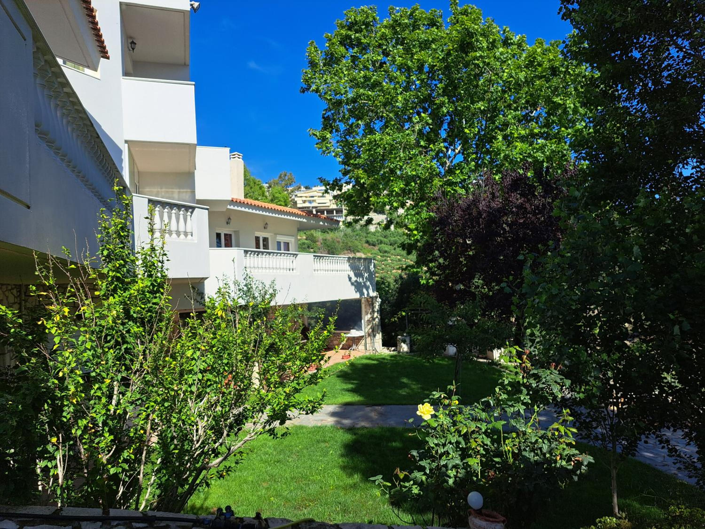 Superior Apartment photo 3
