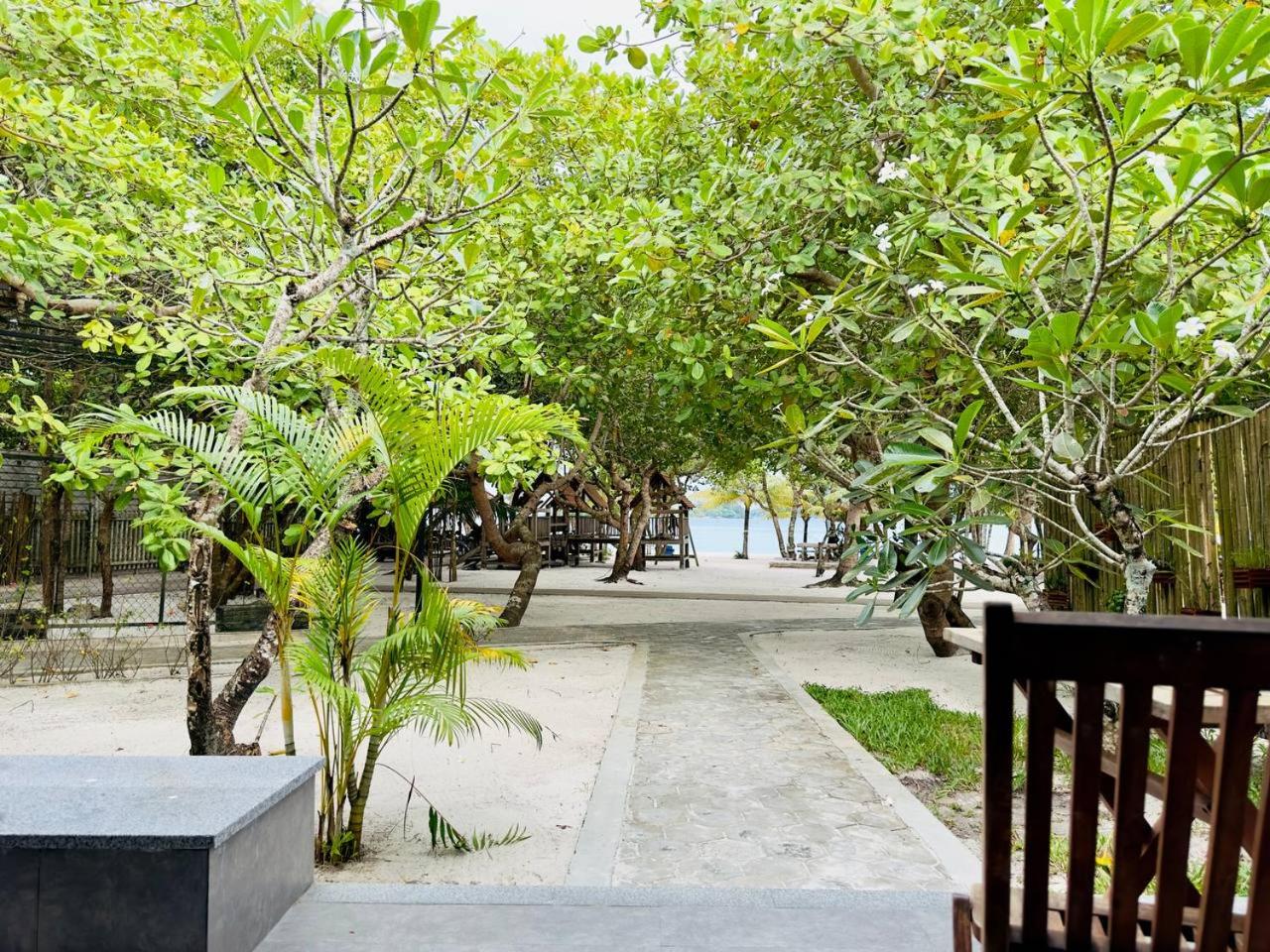 Deluxe Twin Room with Sea View photo 2