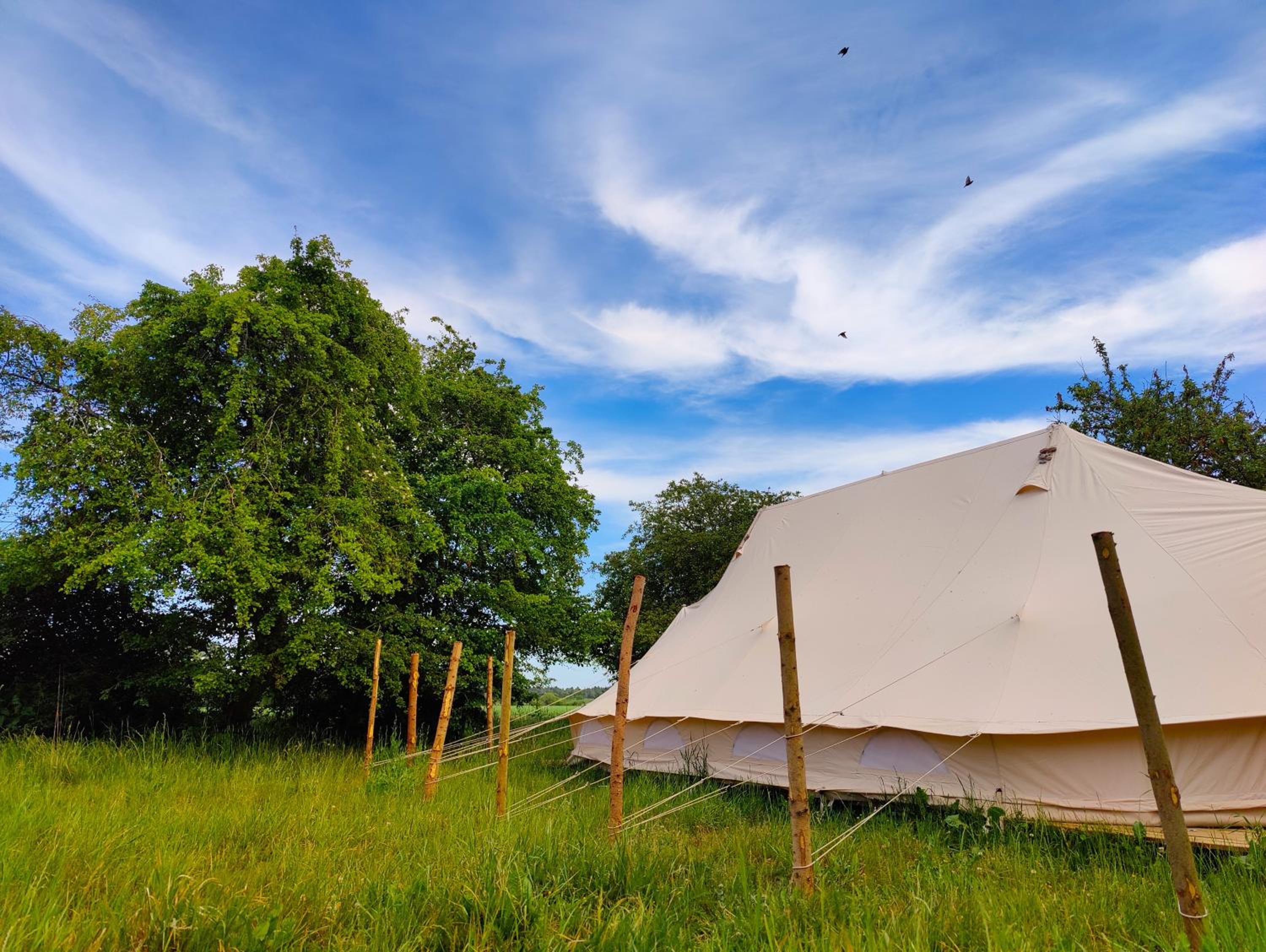 Deluxe Tent Solsorten - Photo 4