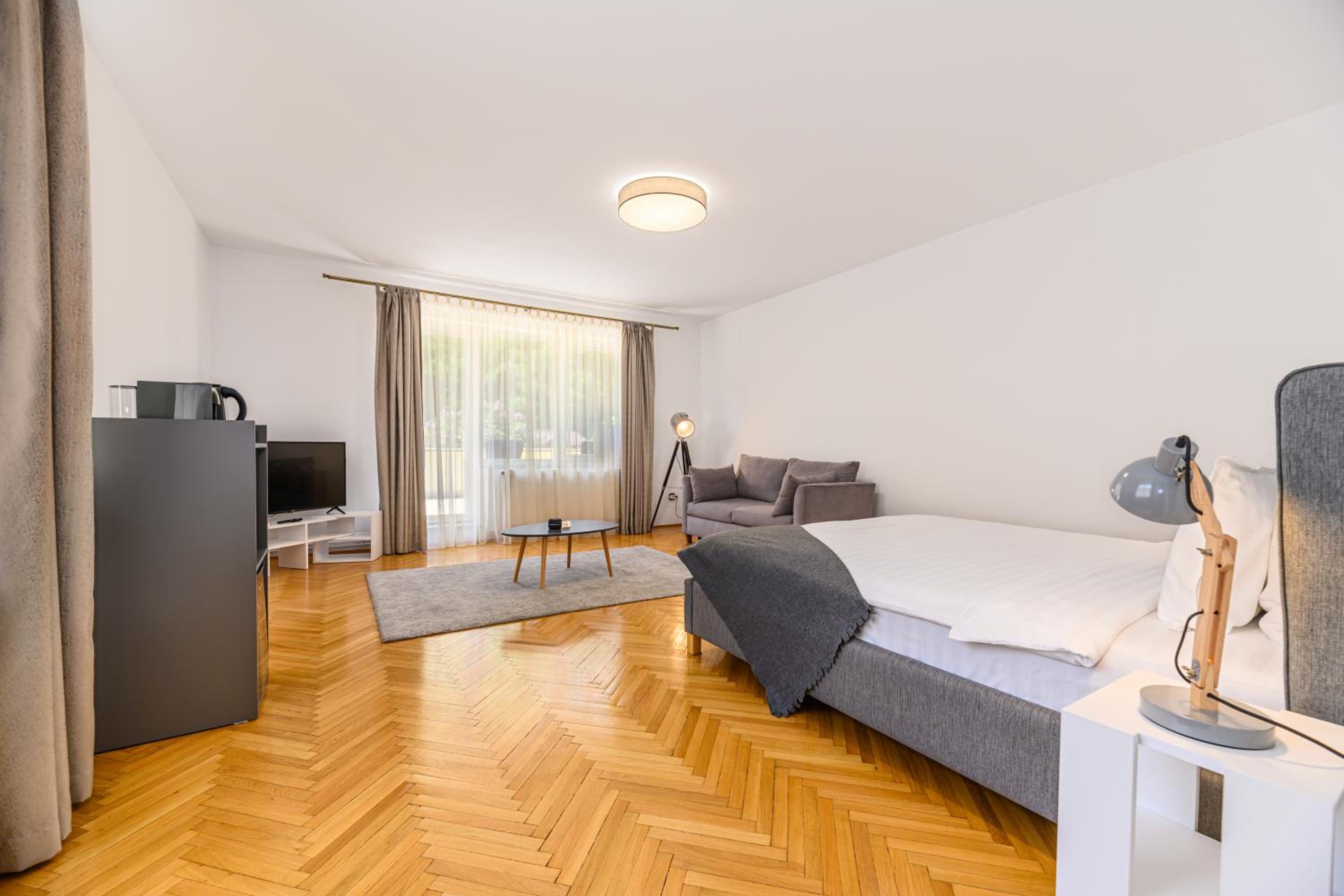 Deluxe Double Room with Sofa bed & Terrace photo 3