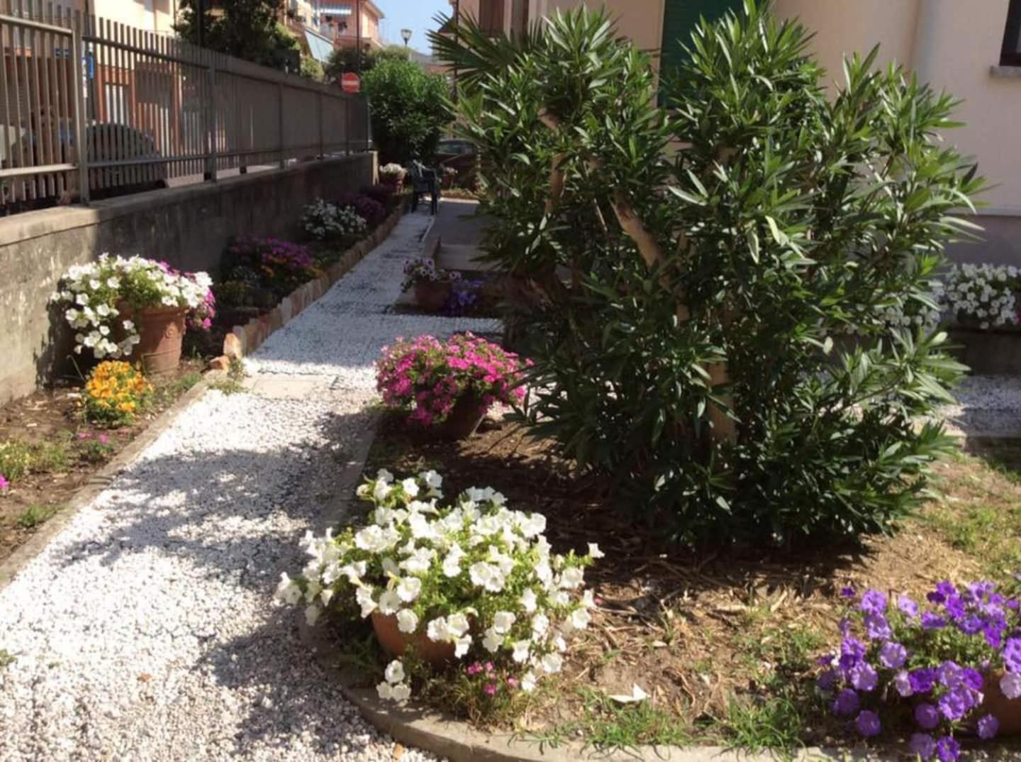 Apartment with Terrace photo 3