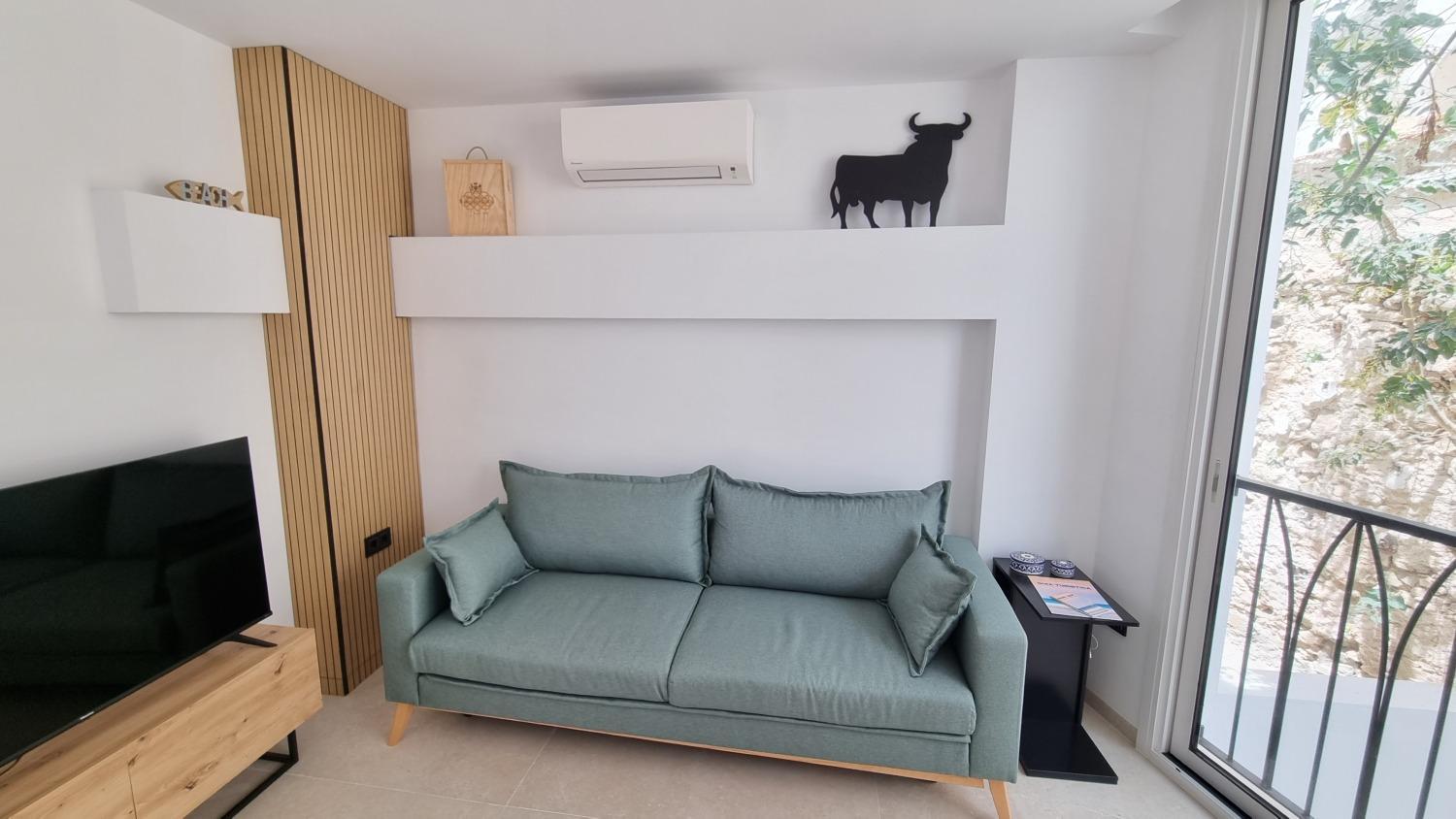 One-Bedroom Apartment photo 2
