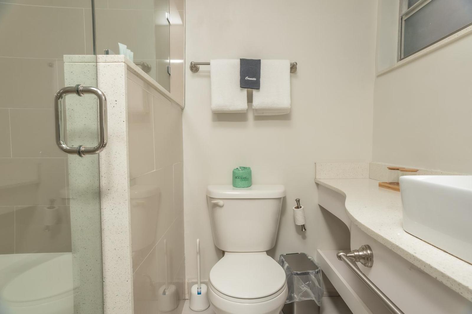 Deluxe Suite photo 2